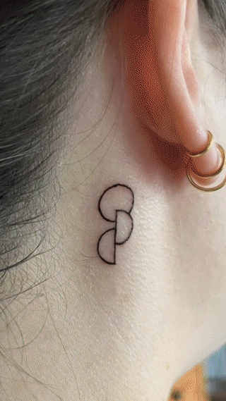 Compilation 360x5.gif