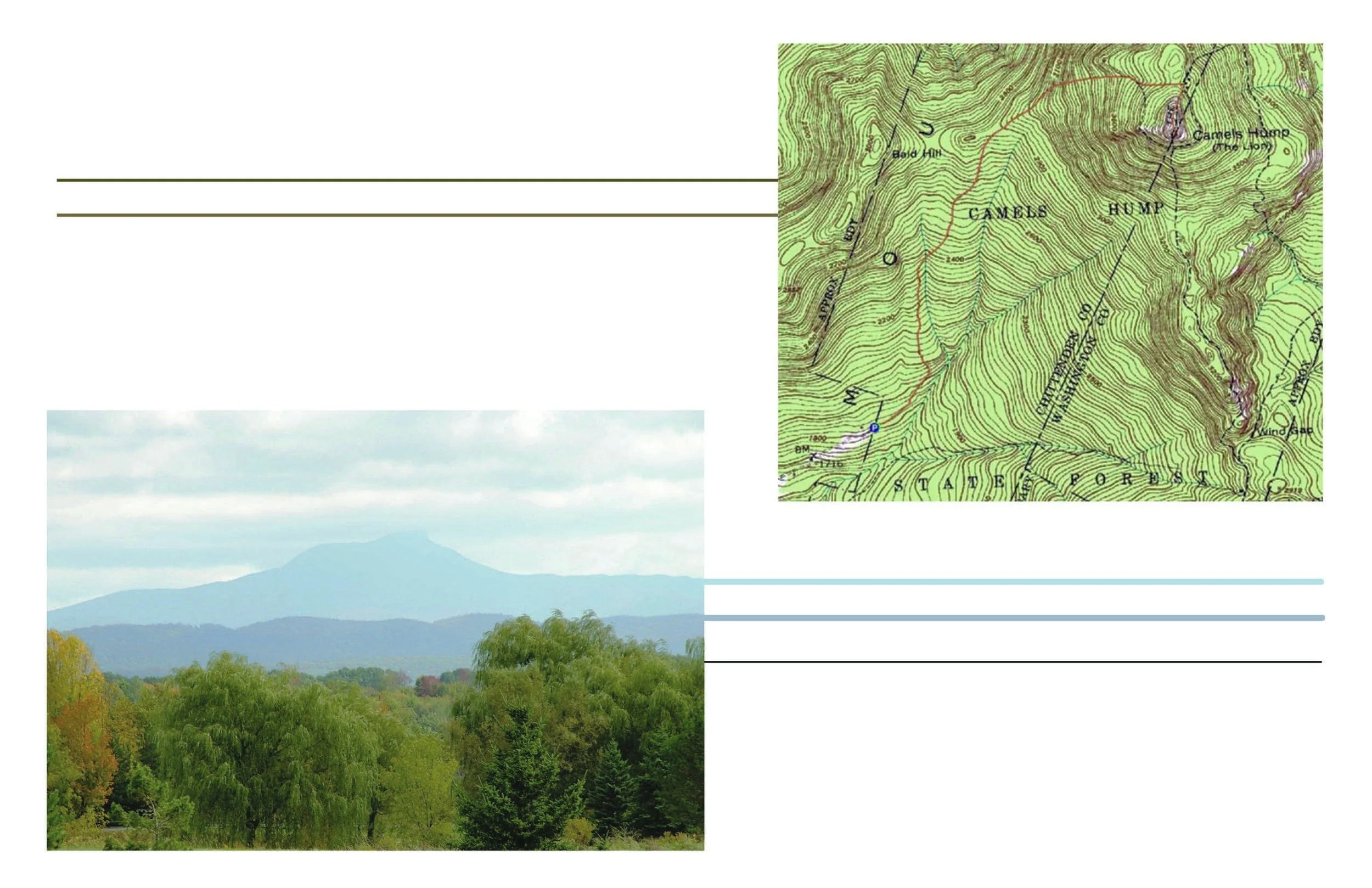 camels hump inspo print.jpg