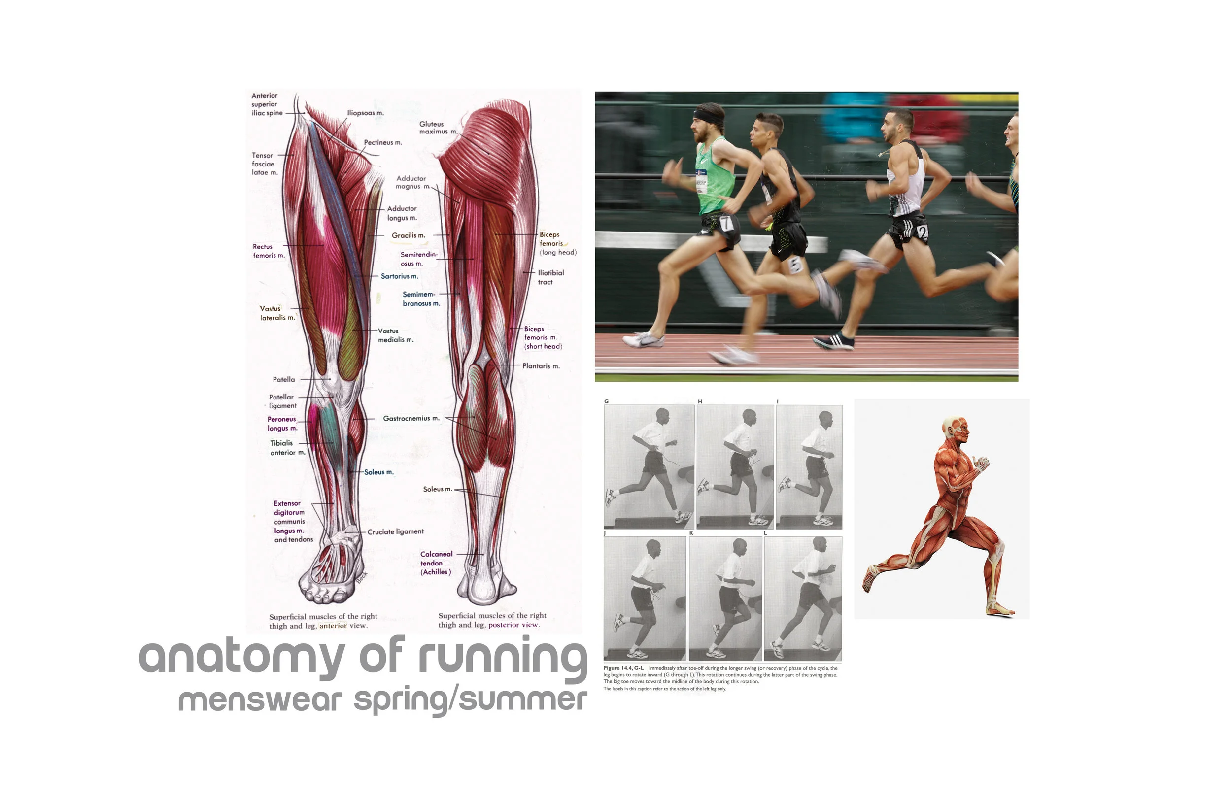 Mood Board 1_RVSD for site.jpg
