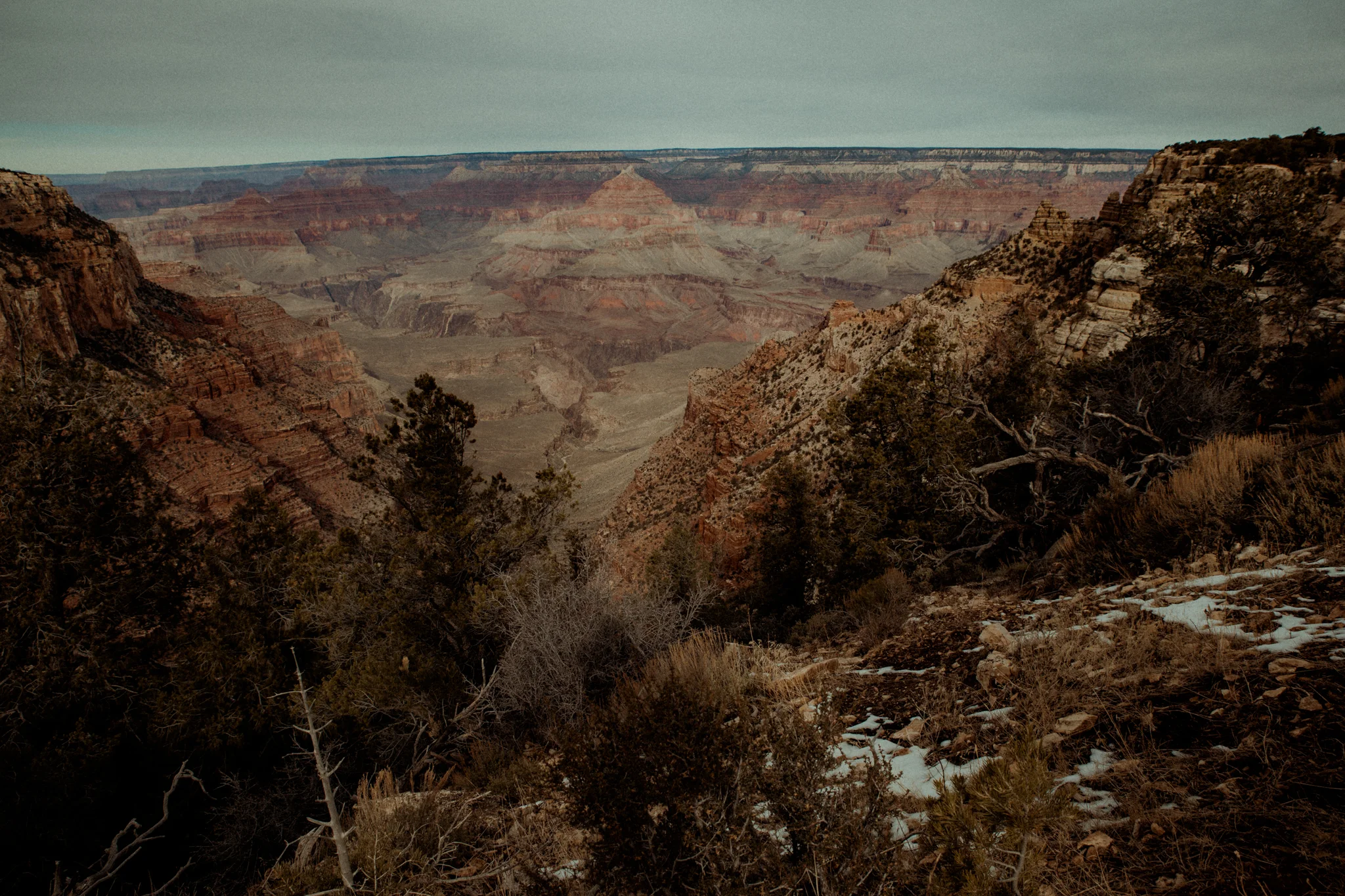 2018-01-15-2.jpg