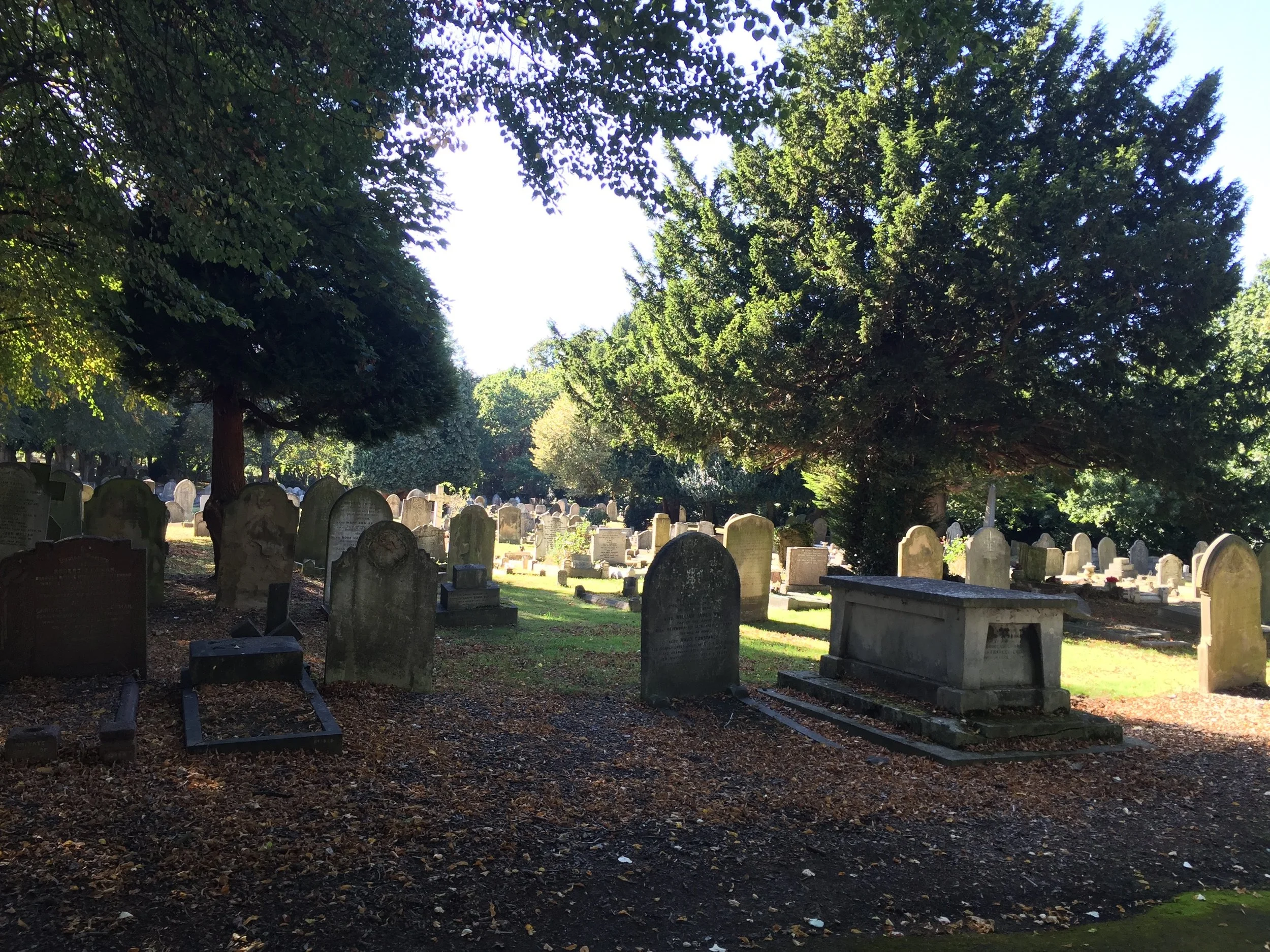 How the dead live