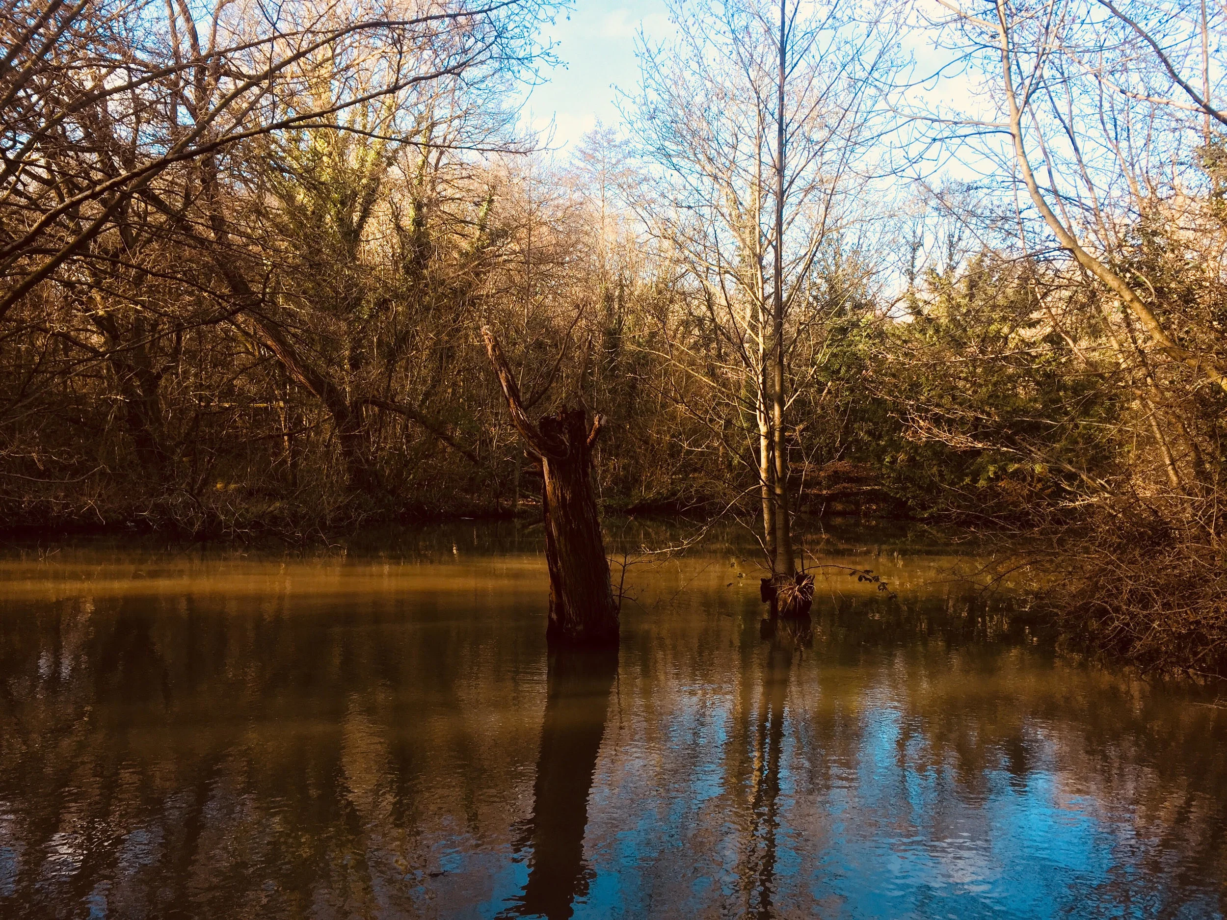Shadows and reflections
