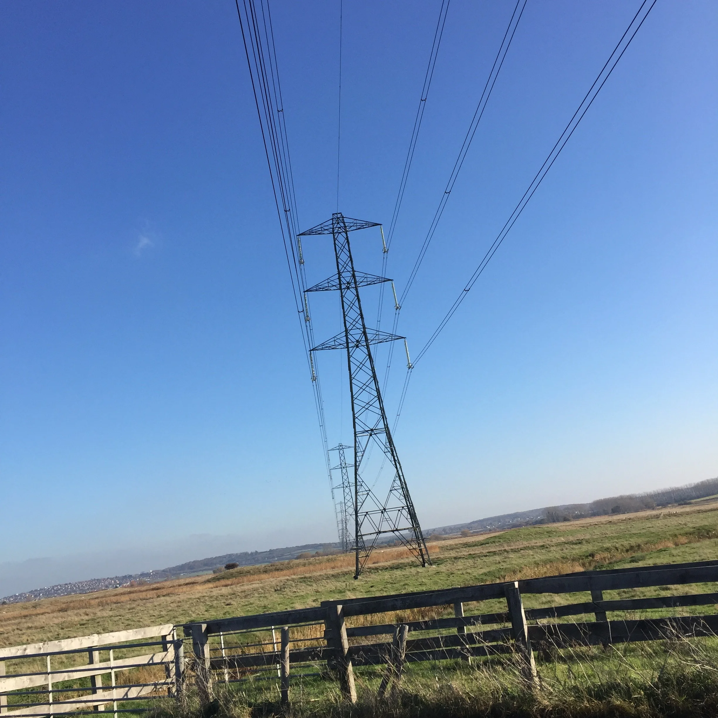 A dream life of Graveney Marsh