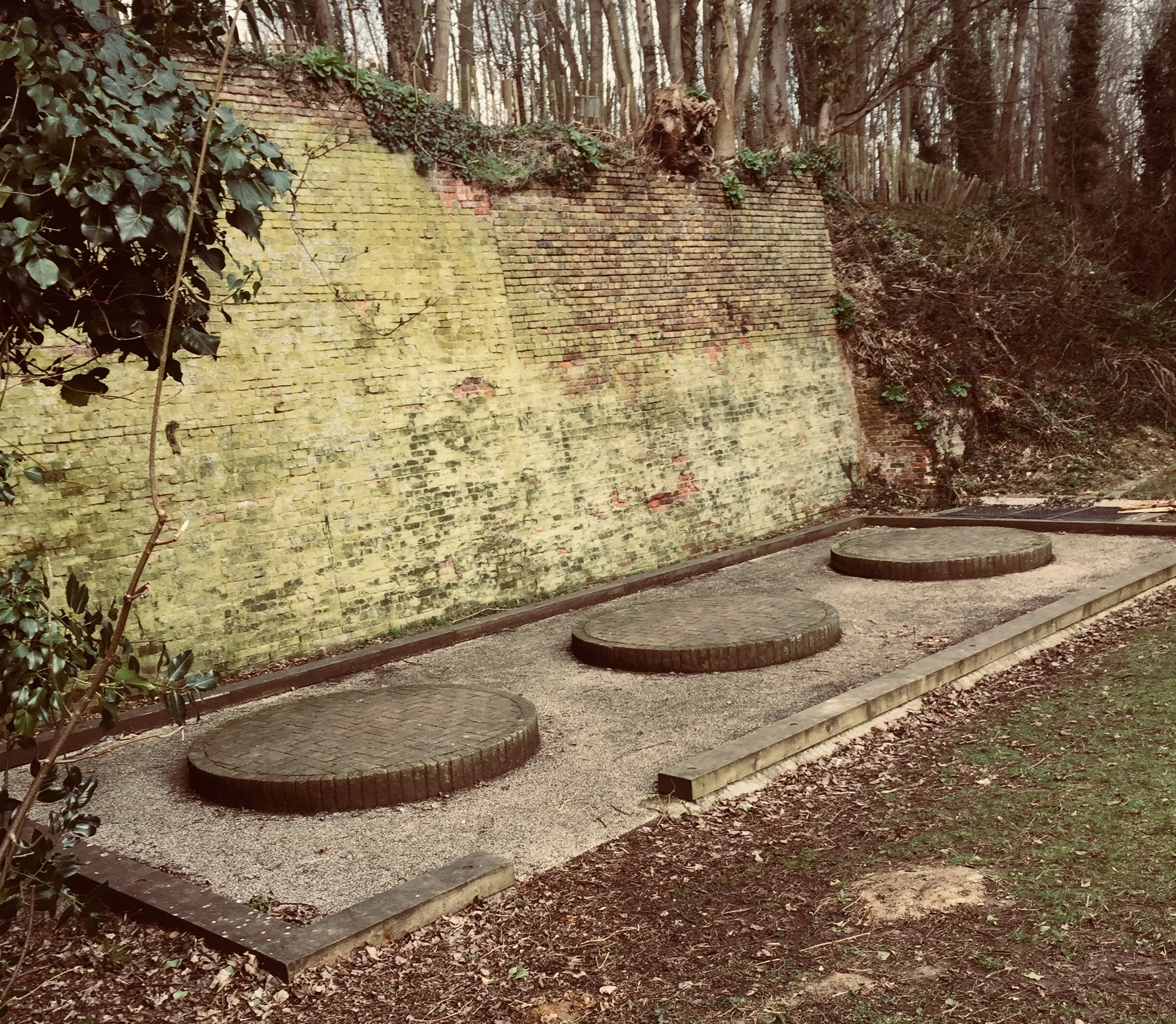 IMG-8619.jpg