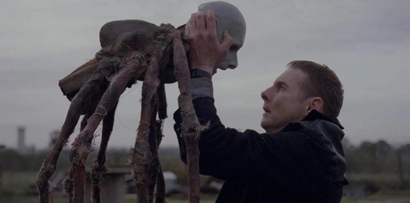 possum1.jpg