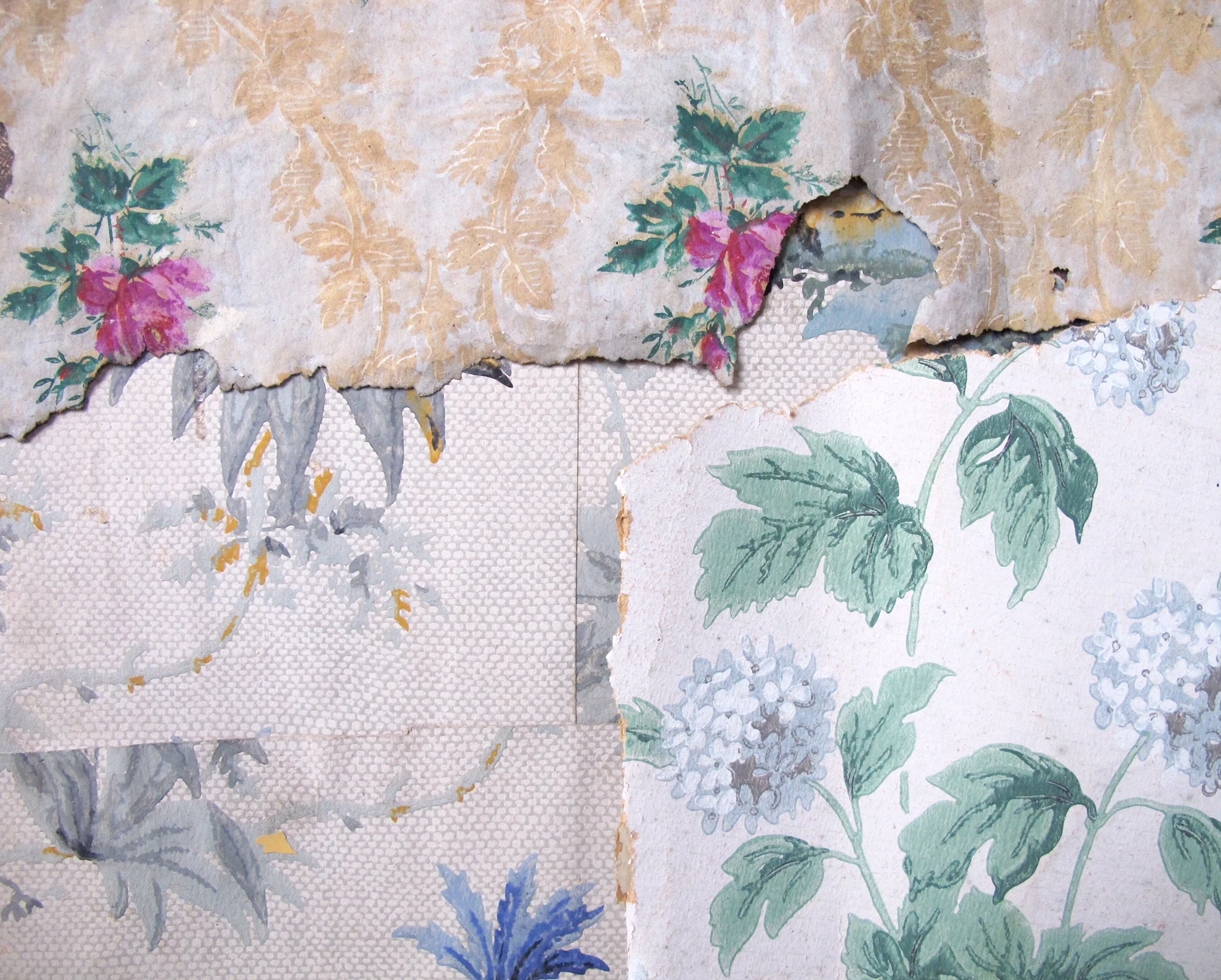 Wallpaper Fragments (Studio)