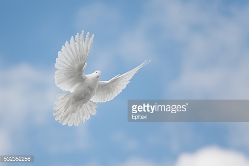 Photo by Epitavi/iStock / Getty Images
