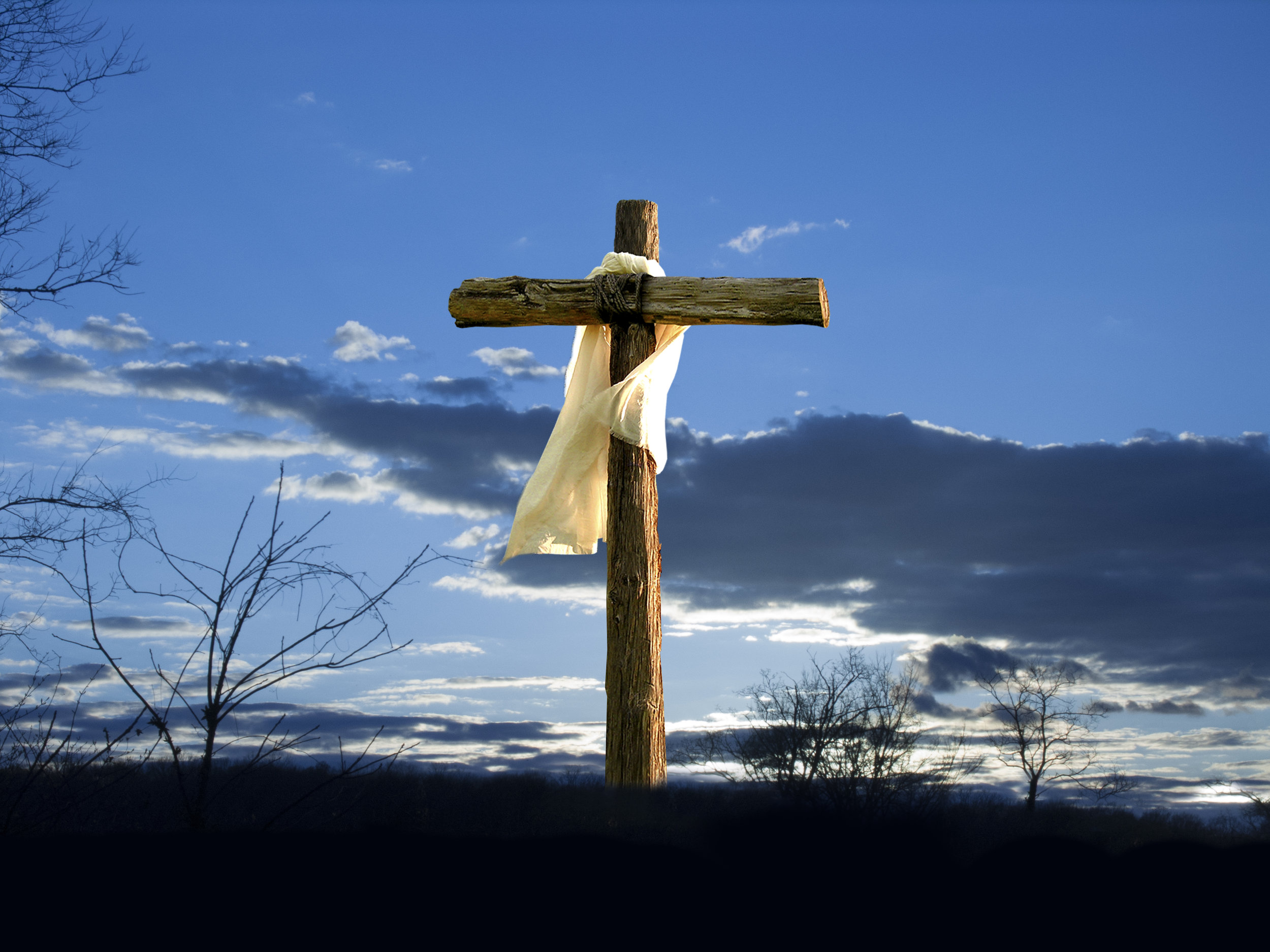 iStock-517581350.jpg