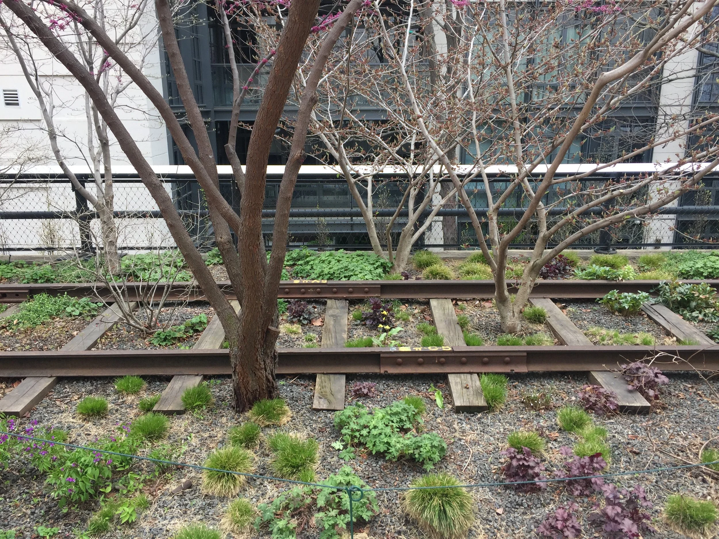 New York Part 3 - The High-Line