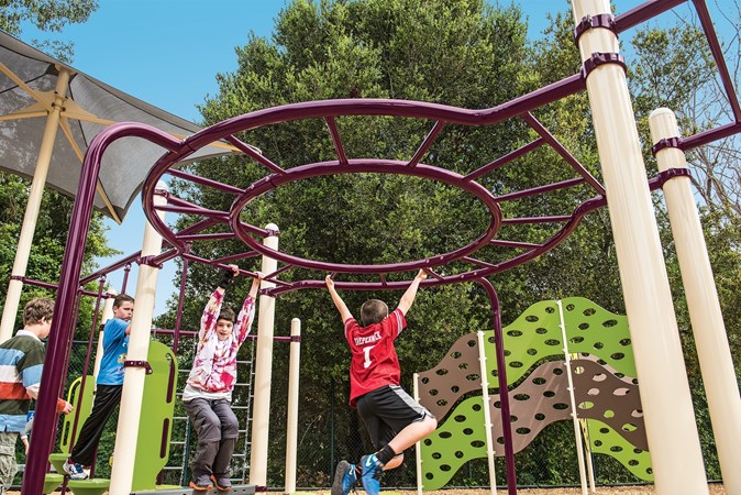 ls-circular-monkey-bars.jpeg