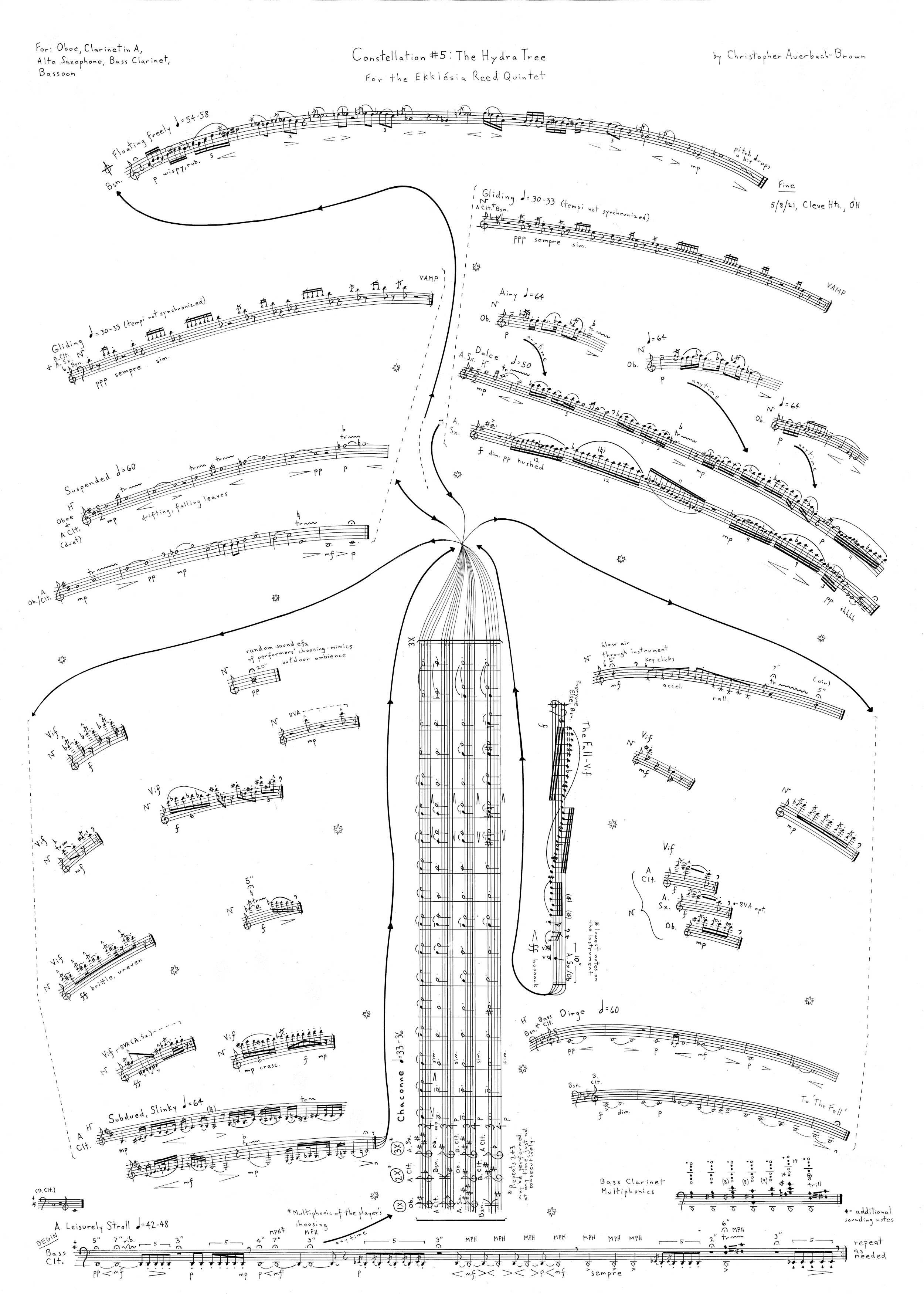 Constellation #5: the Hydra Tree