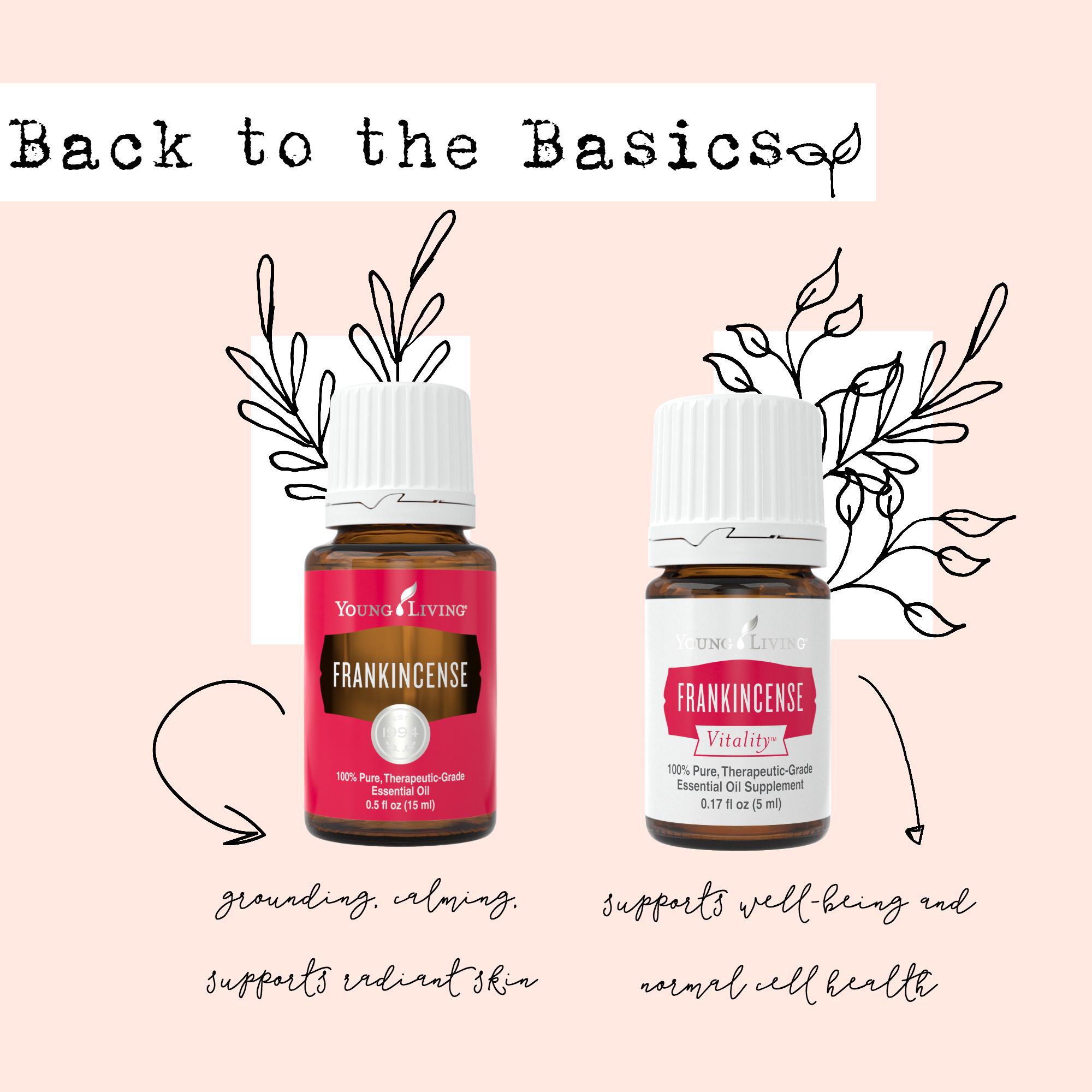 frankincense-basics.jpg