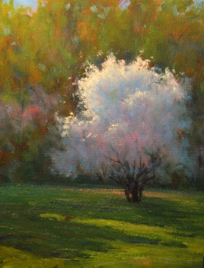Soft & Fluffy - Oil