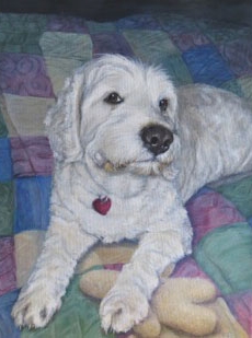 Sadie - Oil