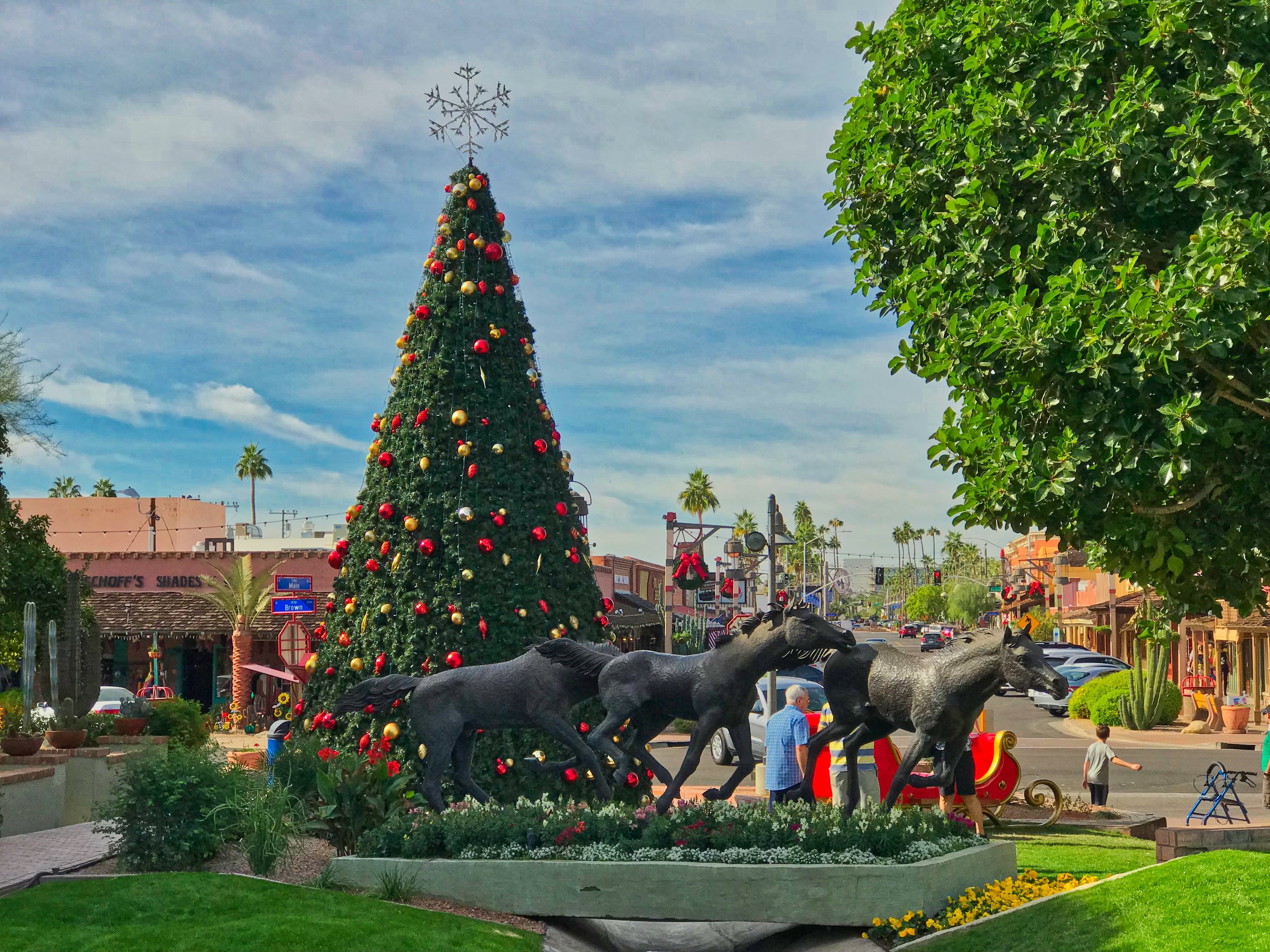 Christmas in AZ