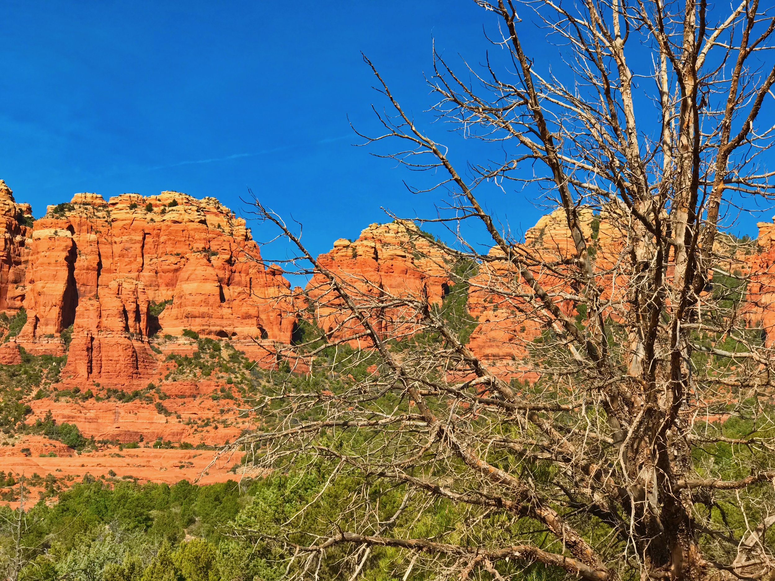 Sedona