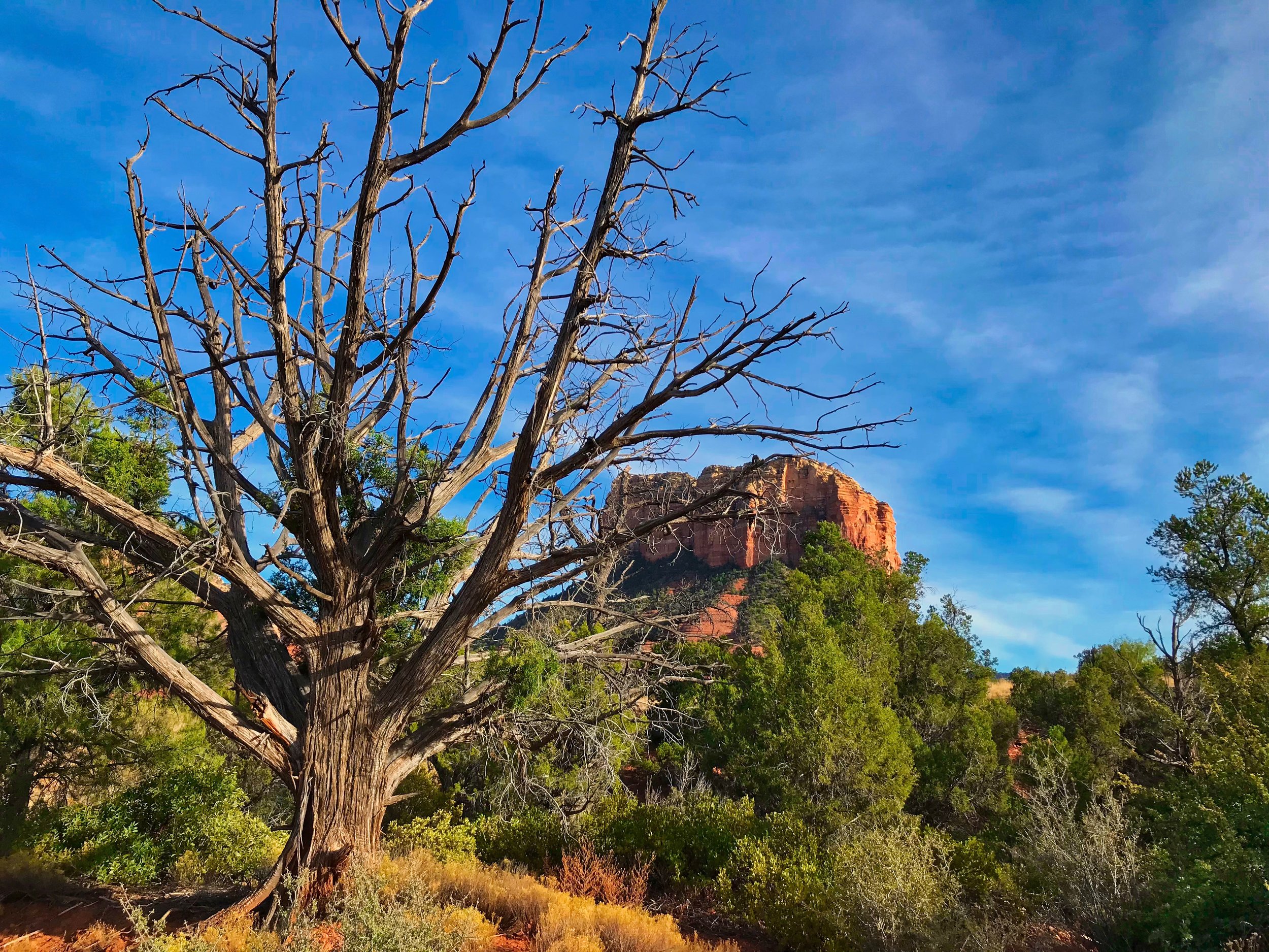 Bell Rock Vortex
