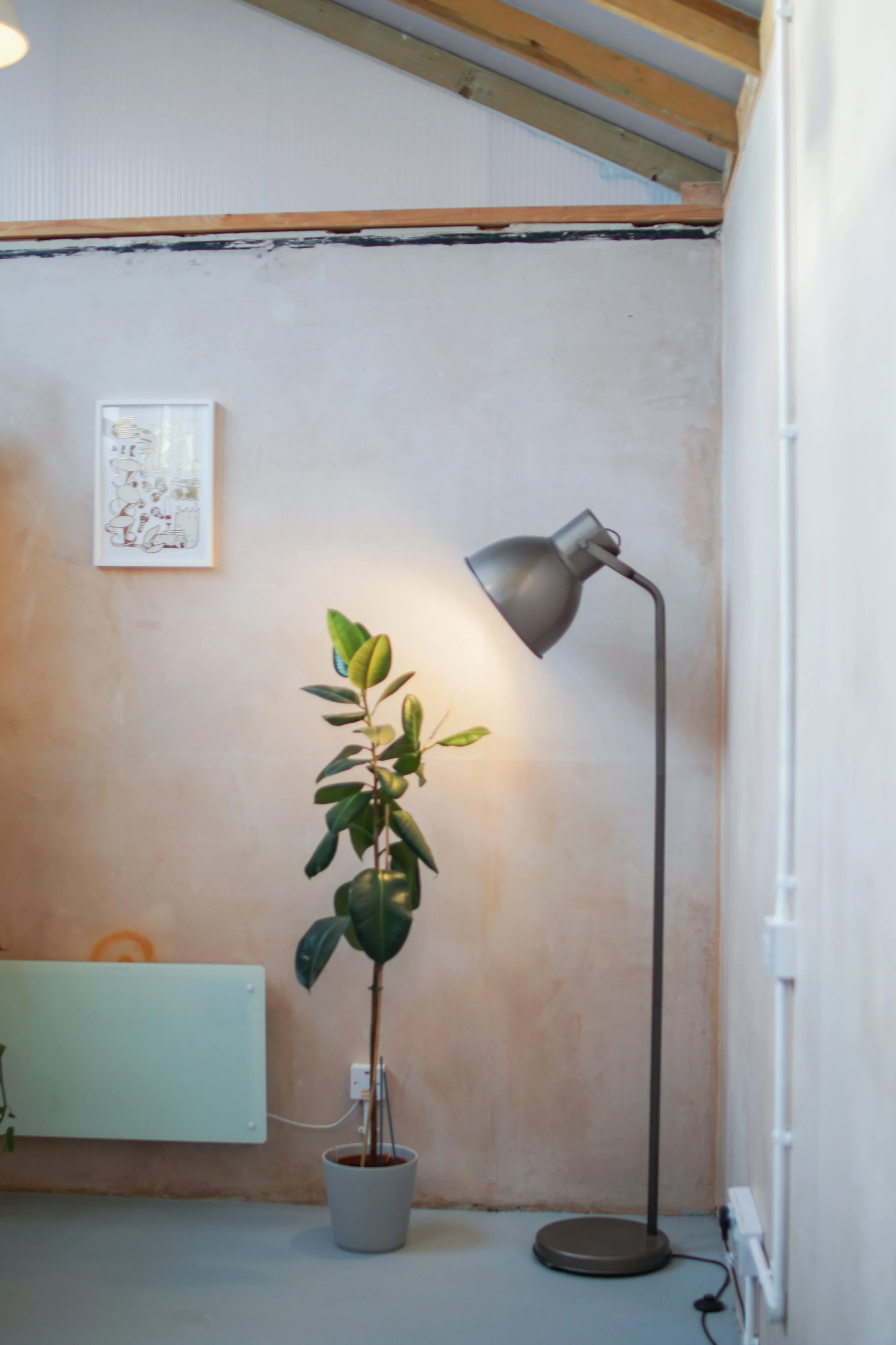 Copy of DSC00510.jpg