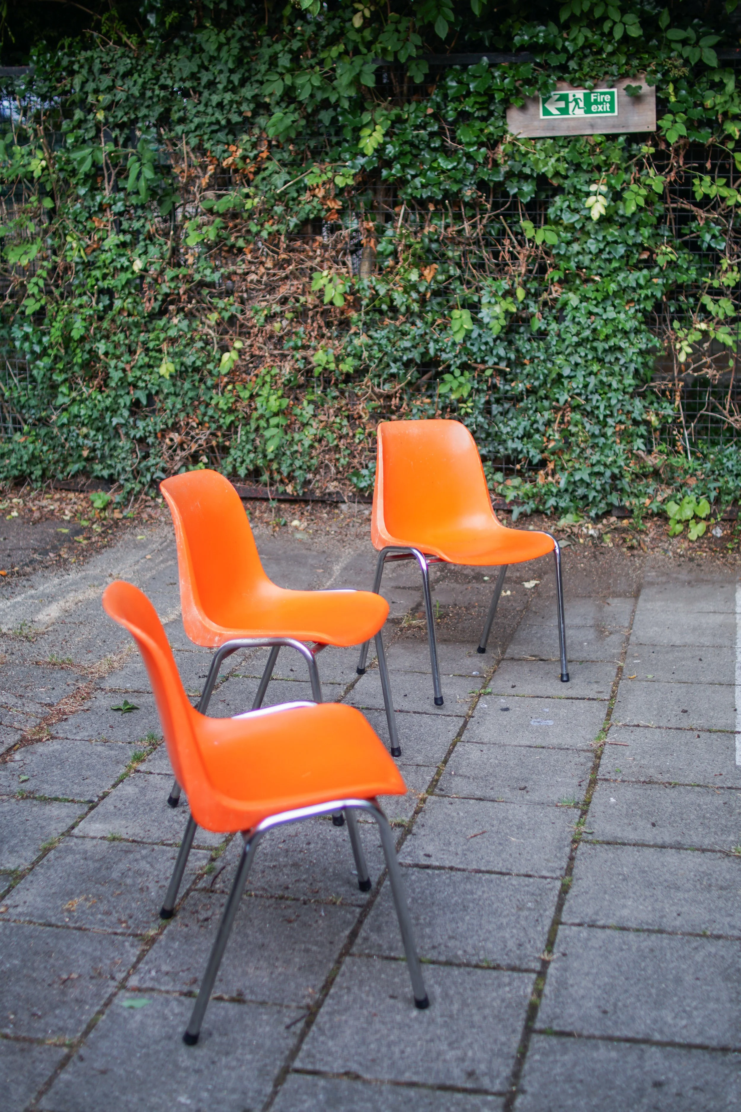 Copy of DSC00569.jpg