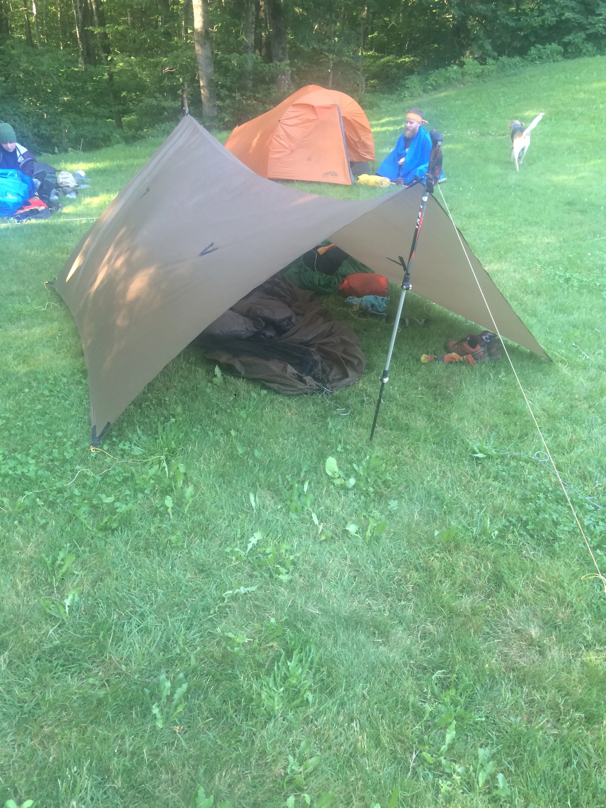 IMG_5885.jpg