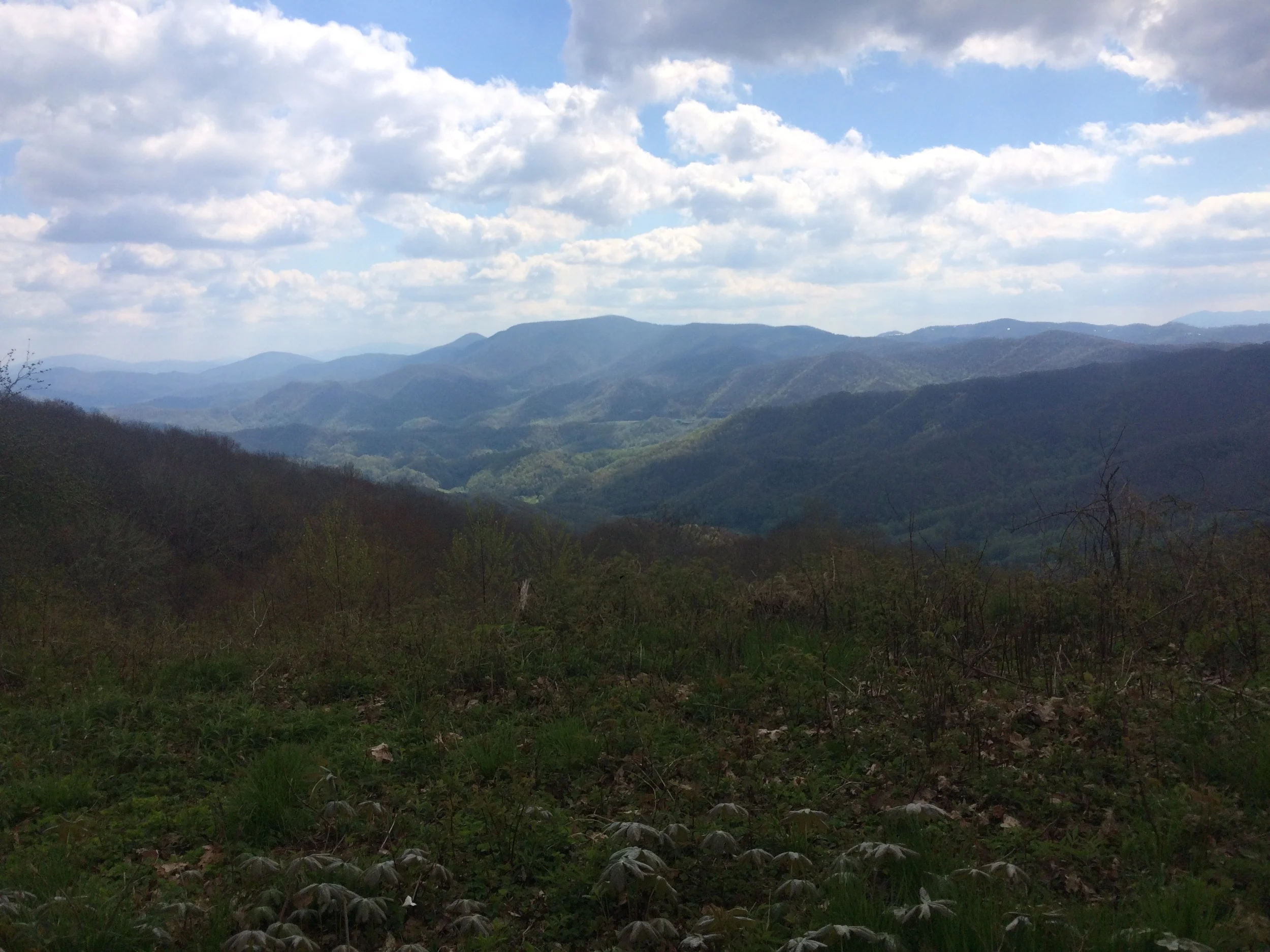 IMG_4412.jpg