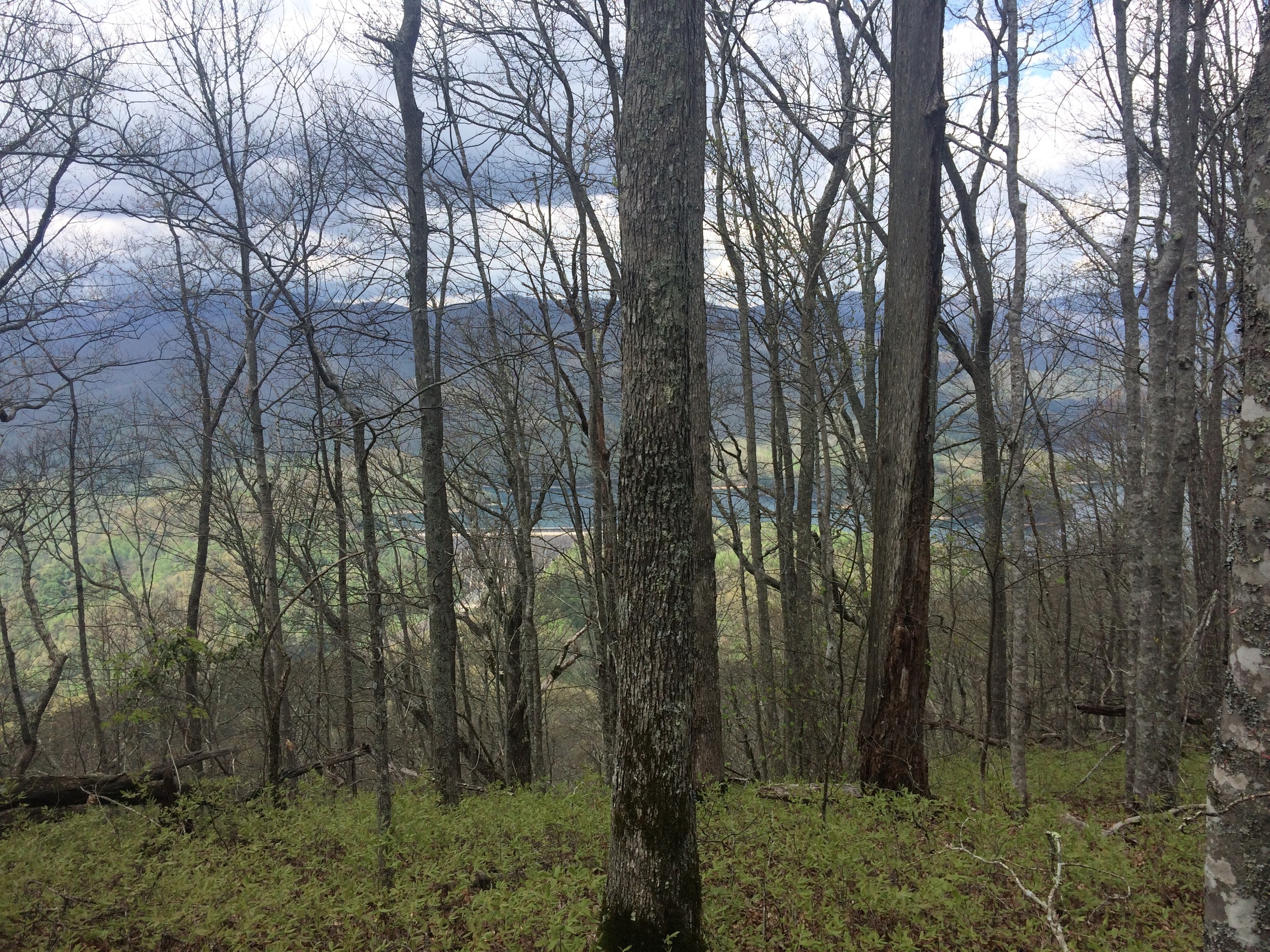 IMG_4187.jpg