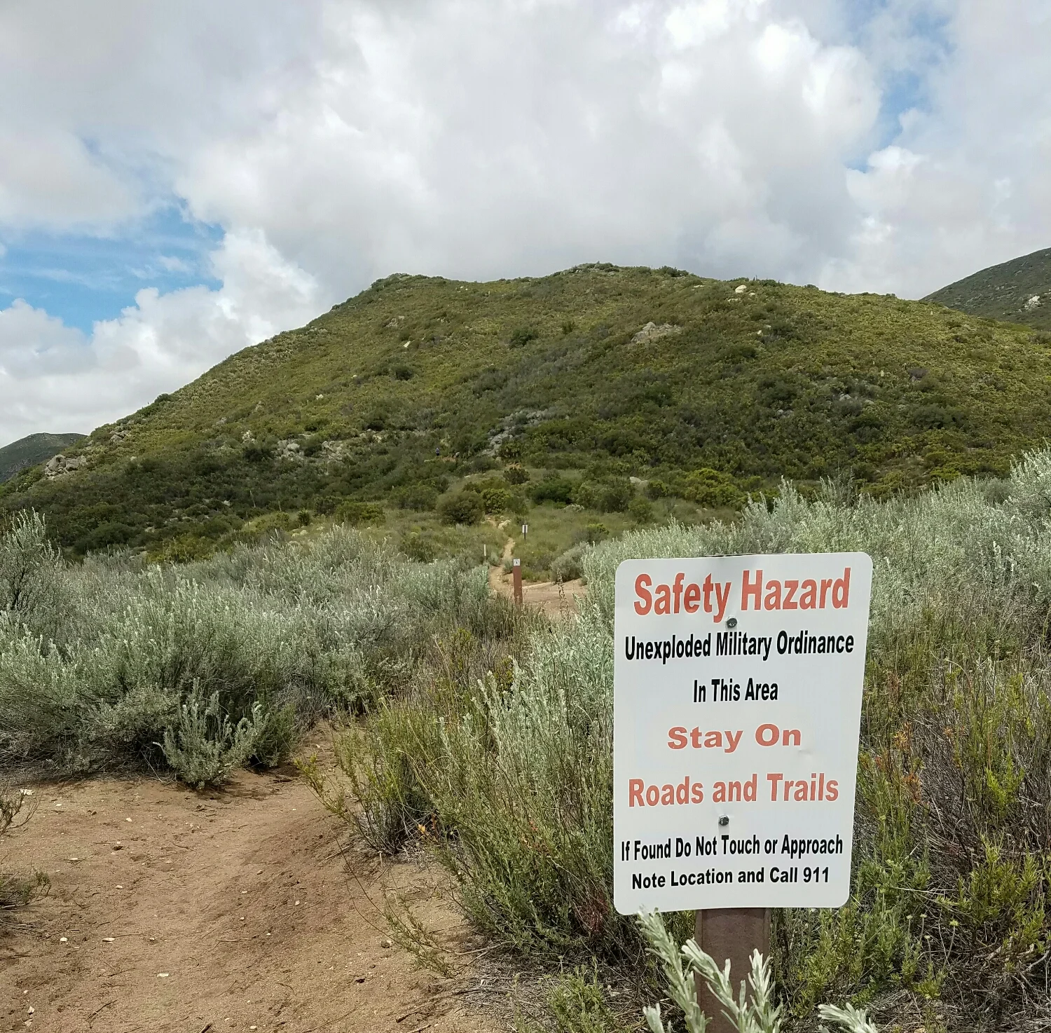 I guess I'll stay on the trail...