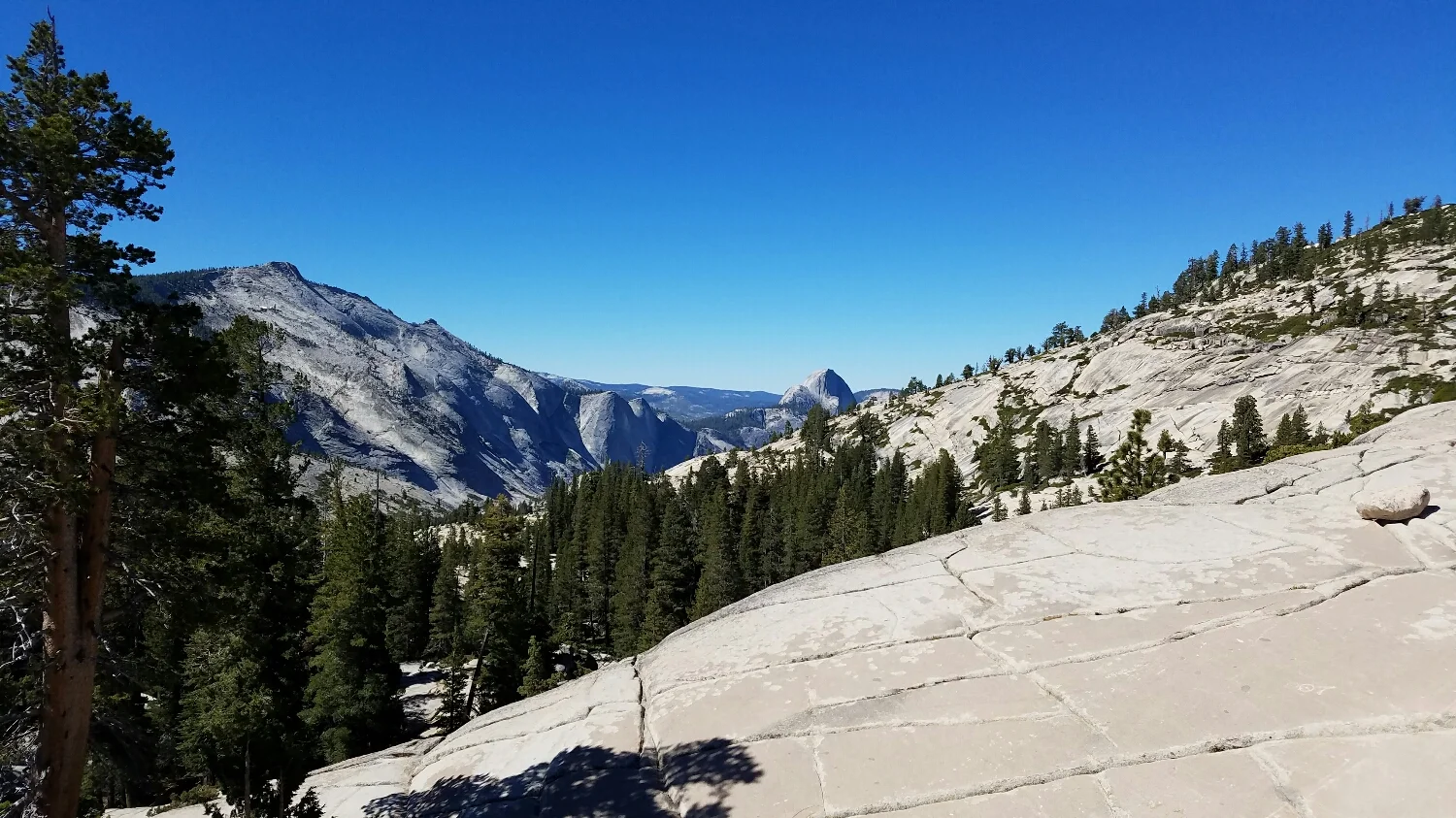Half Dome in the distance