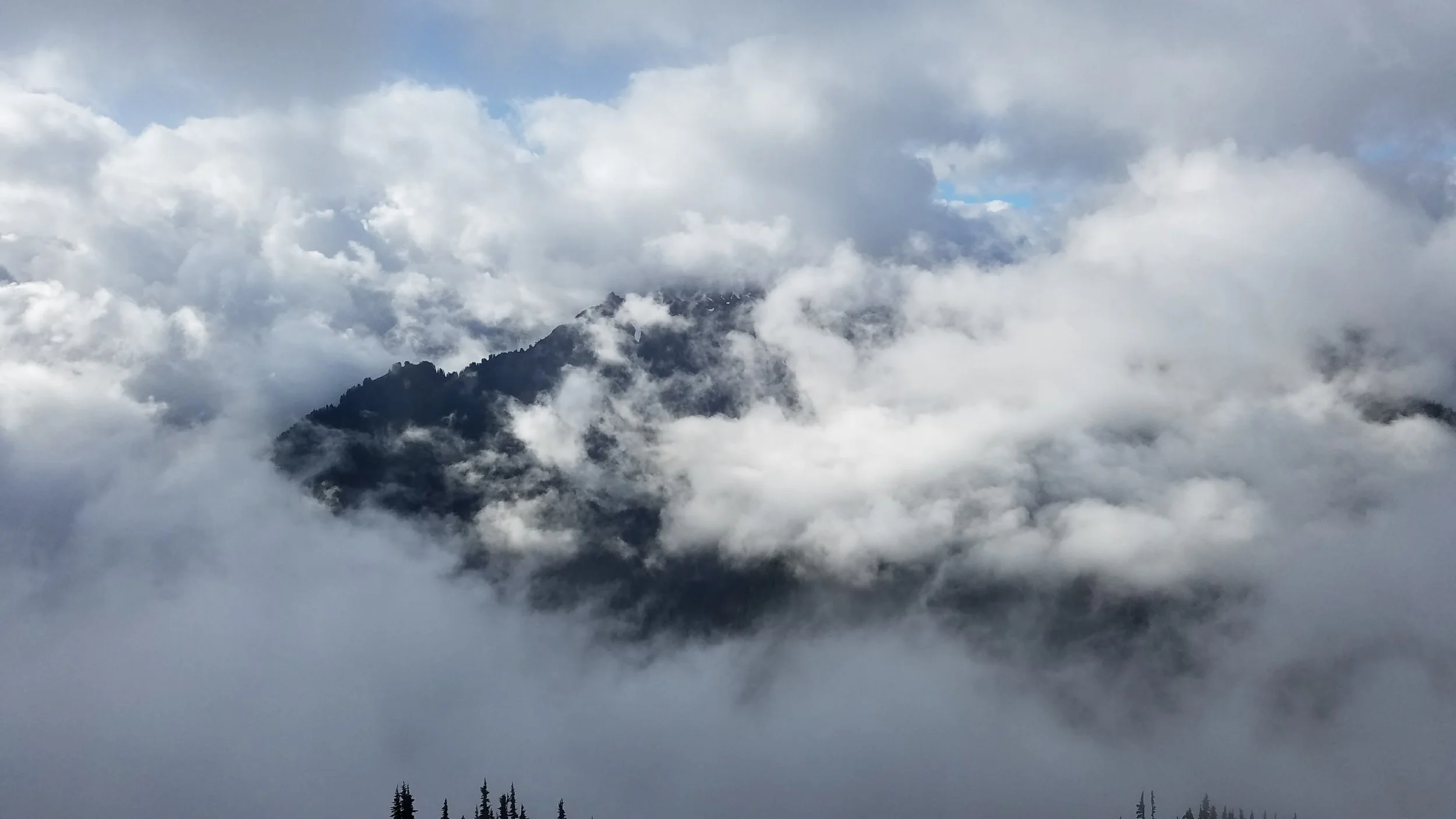 Walking in the clouds. But there is some blue sky in there! - maybe, just maybe the clouds will lift!