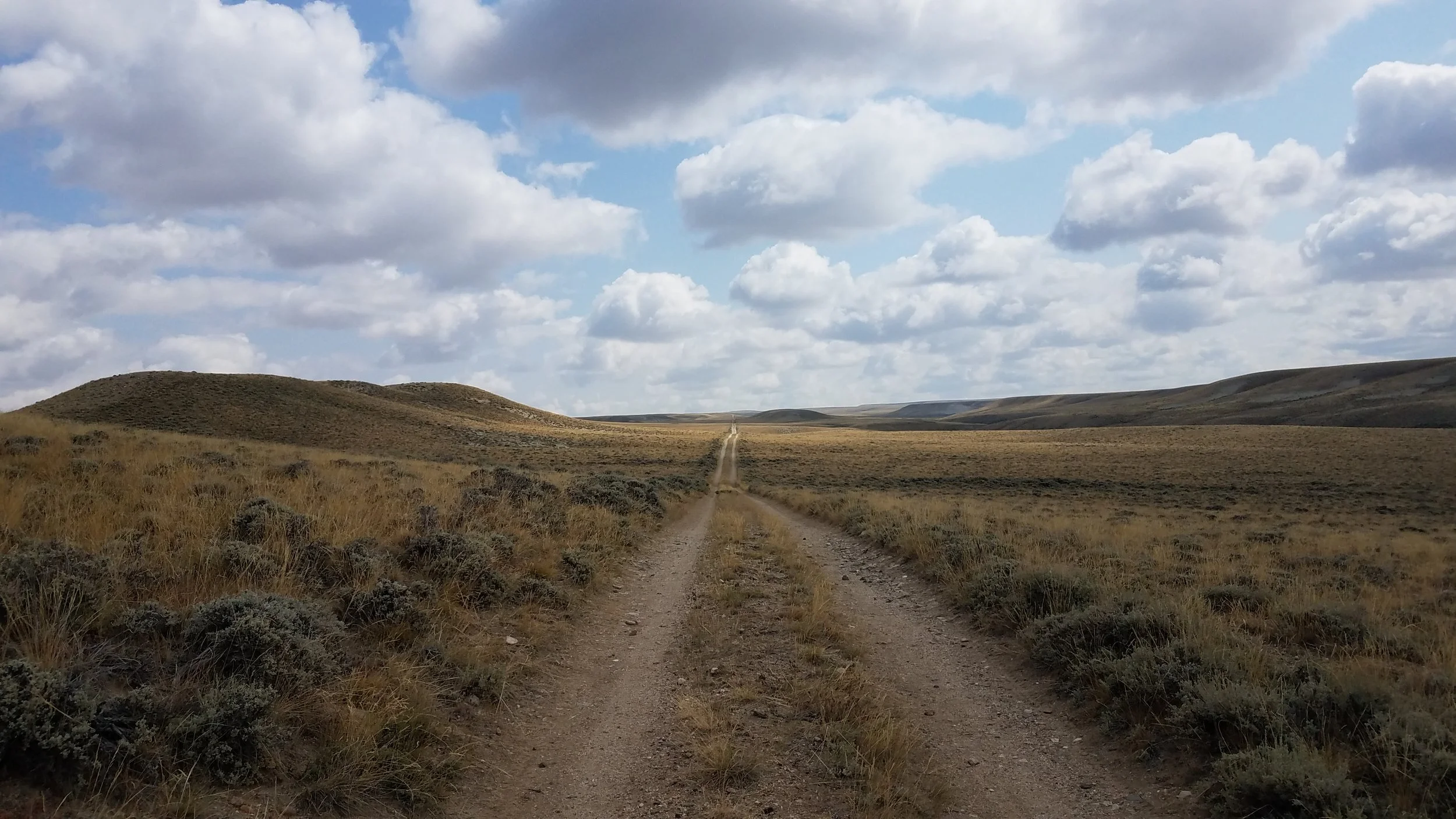 Most of the Red Dessert consisted of road walking on dirt or gravel roads which was much better on the legs than pavement. With little elevation gain and loss, the miles came easier on the body but not on the mind. It was a weird experince to get excited for a slight bend in the road. And I'm sure I dozed off at times only to wake up and realize I was still on trail.