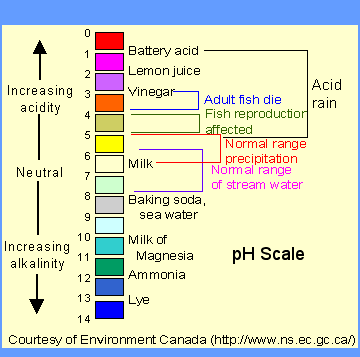phscale.gif