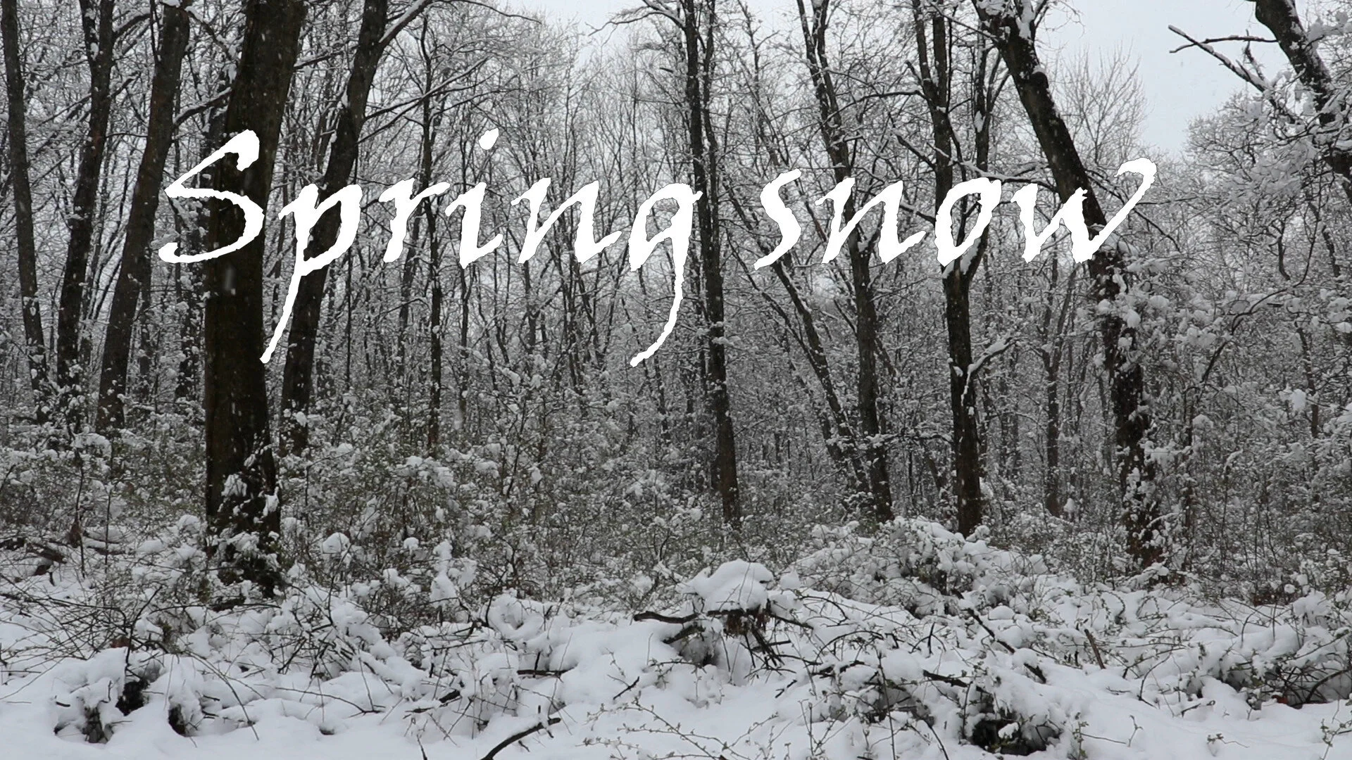 #Create2020 Week 16 - Spring Snow