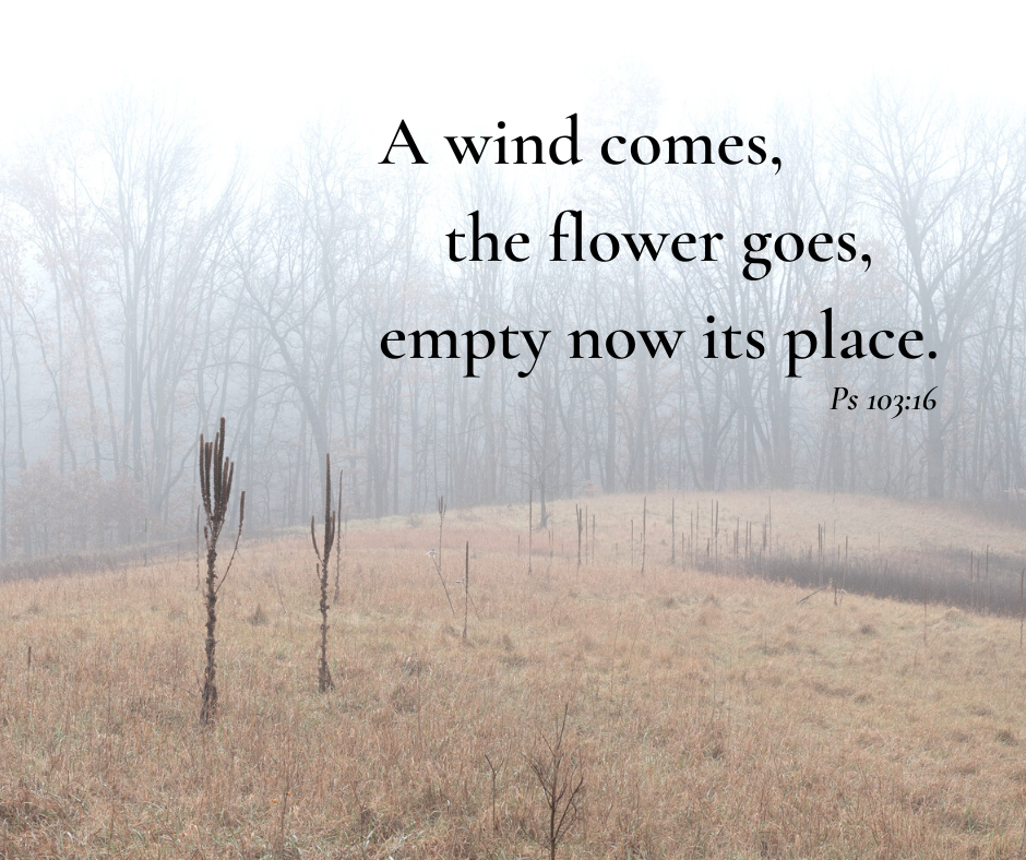 Empty now it's place