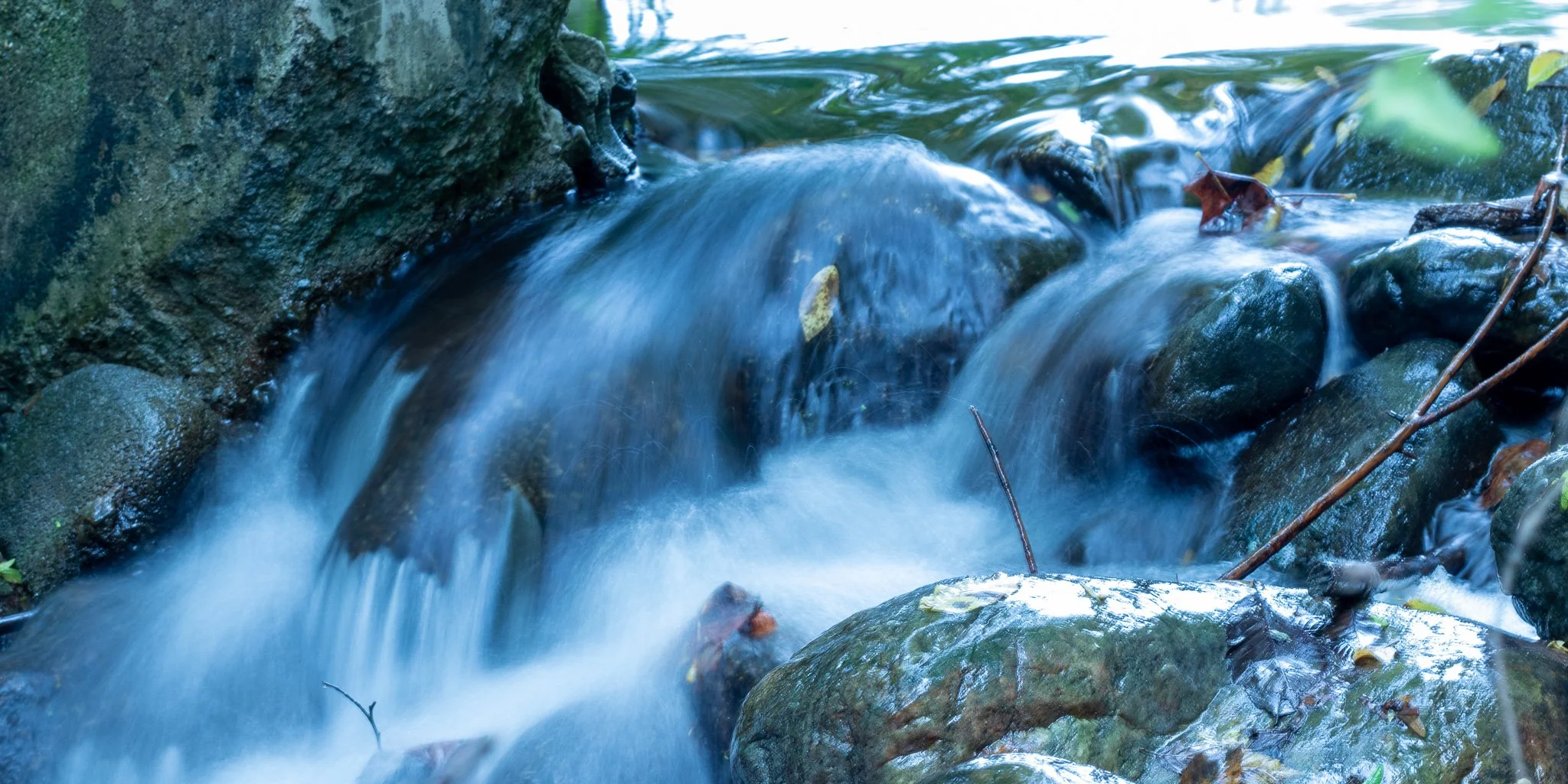 Sounding Scripture: Aug 14