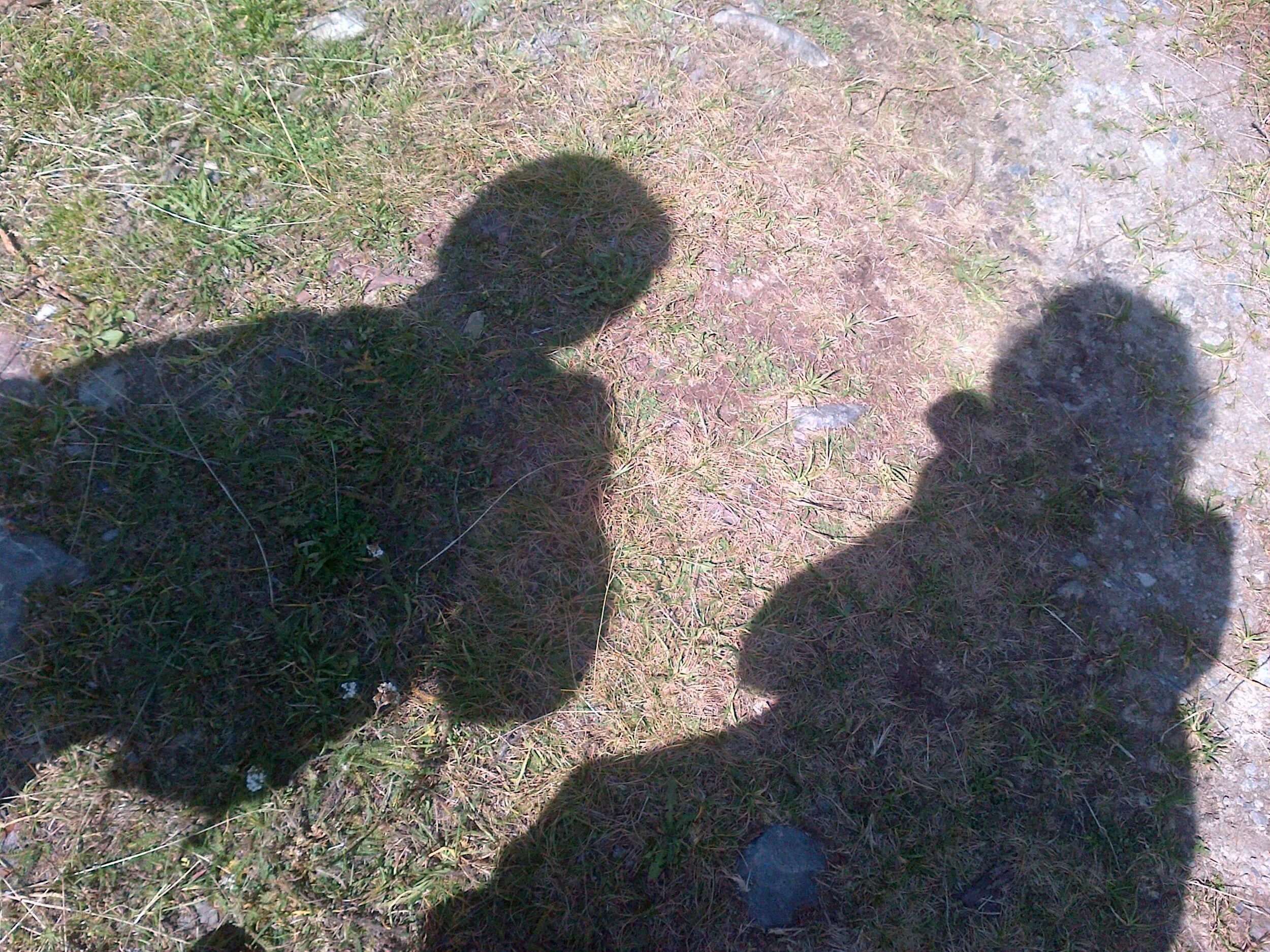 Cornelia Zambila Writings