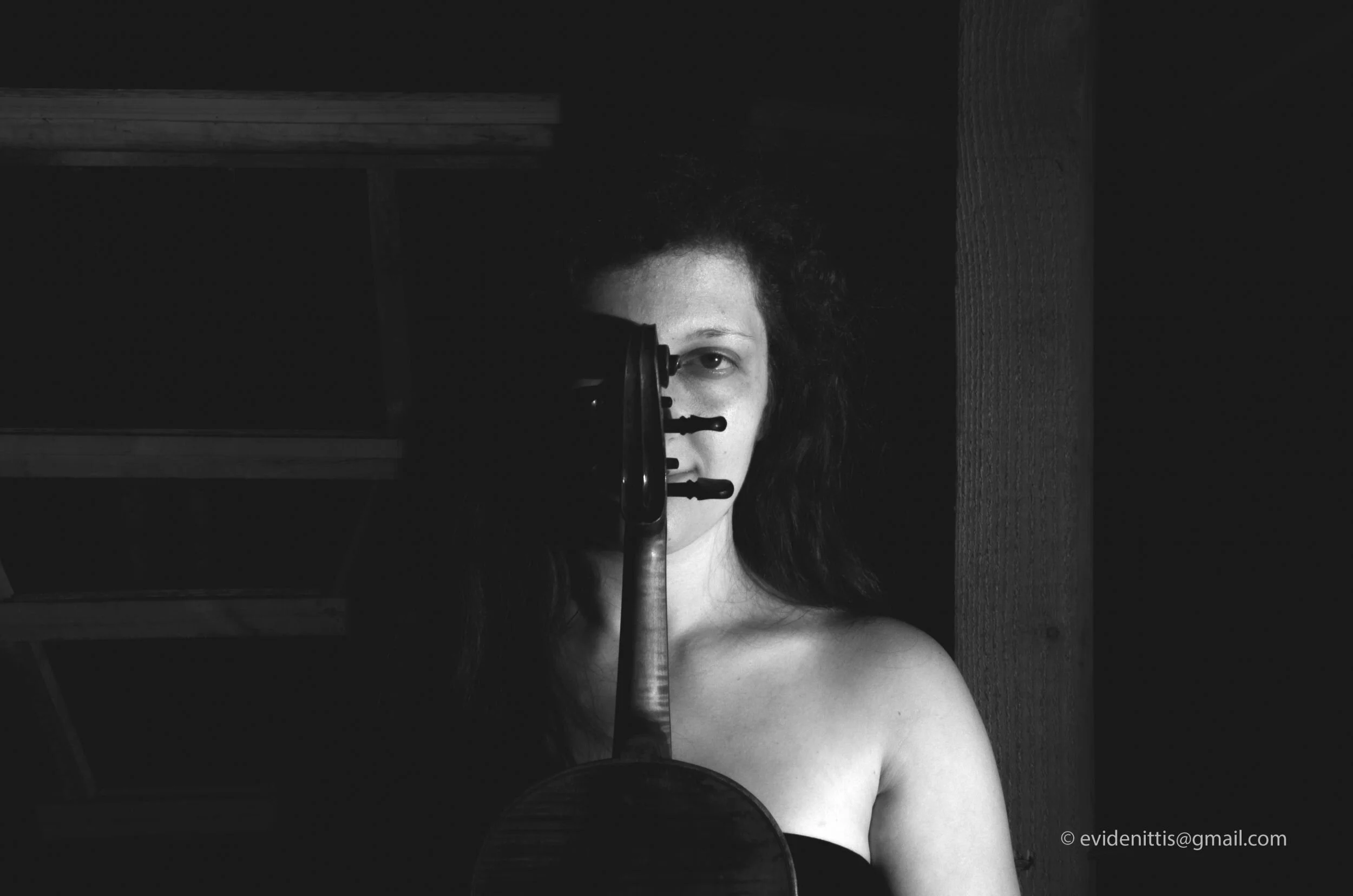 Cornelia Violin About.jpg