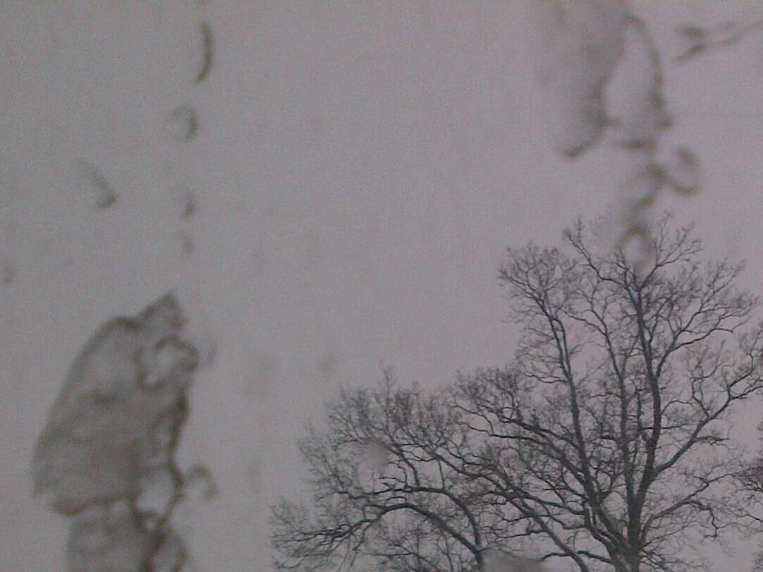 La Pioggia Nel Pineto, solo violin