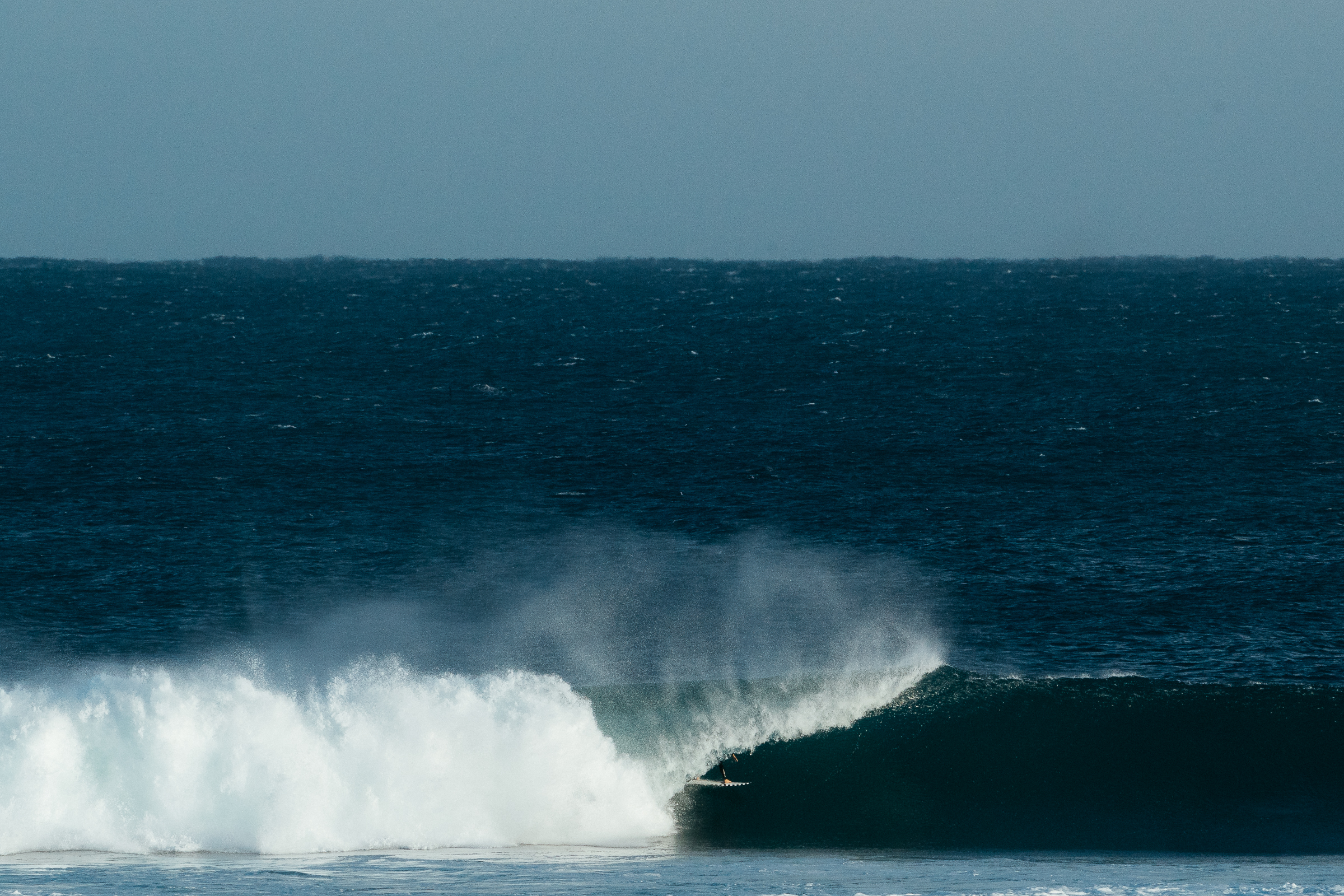 DRIFTWOODPHOTOGRAPHY-06170.jpg