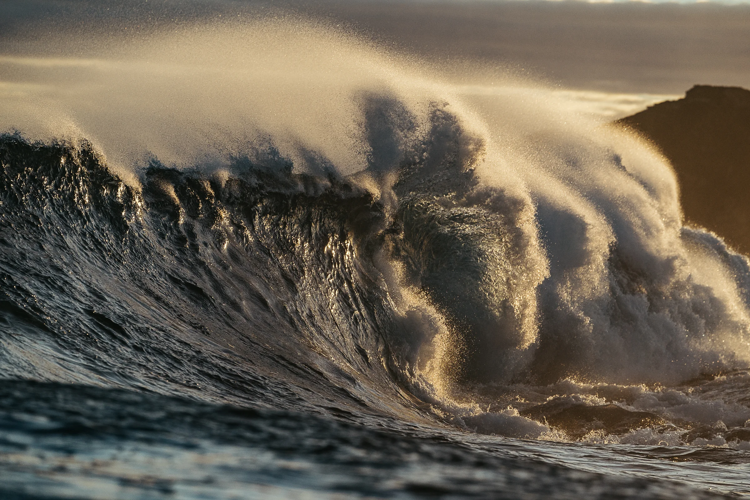 DRIFTWOODPHOTOGRAPHY-01771.jpg