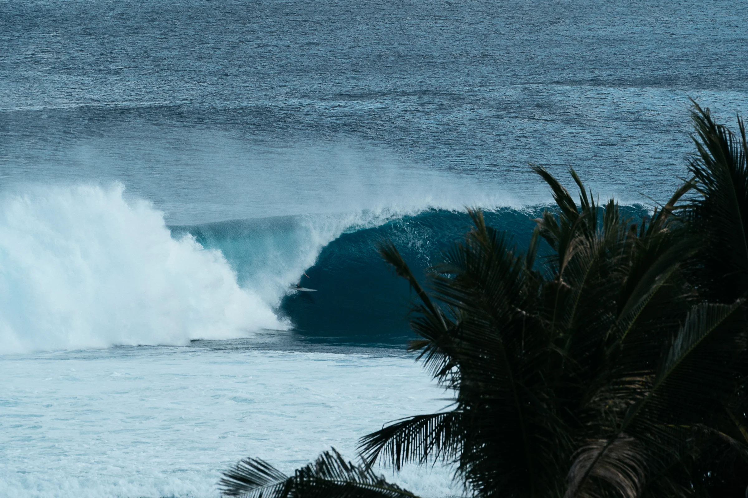 DRIFTWOODPHOTOGRAPHY-07392.jpg