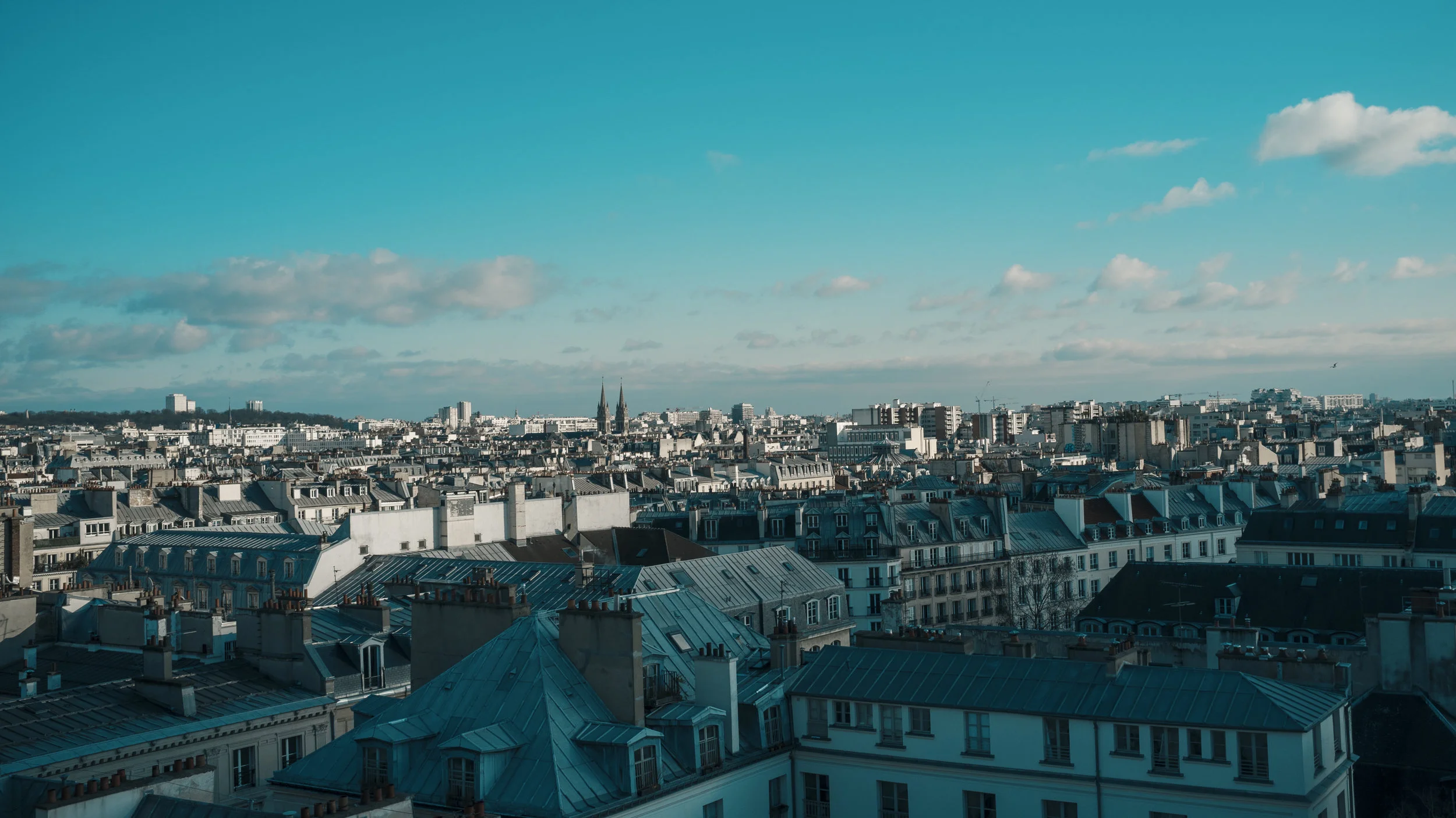 _DSF0435.jpg
