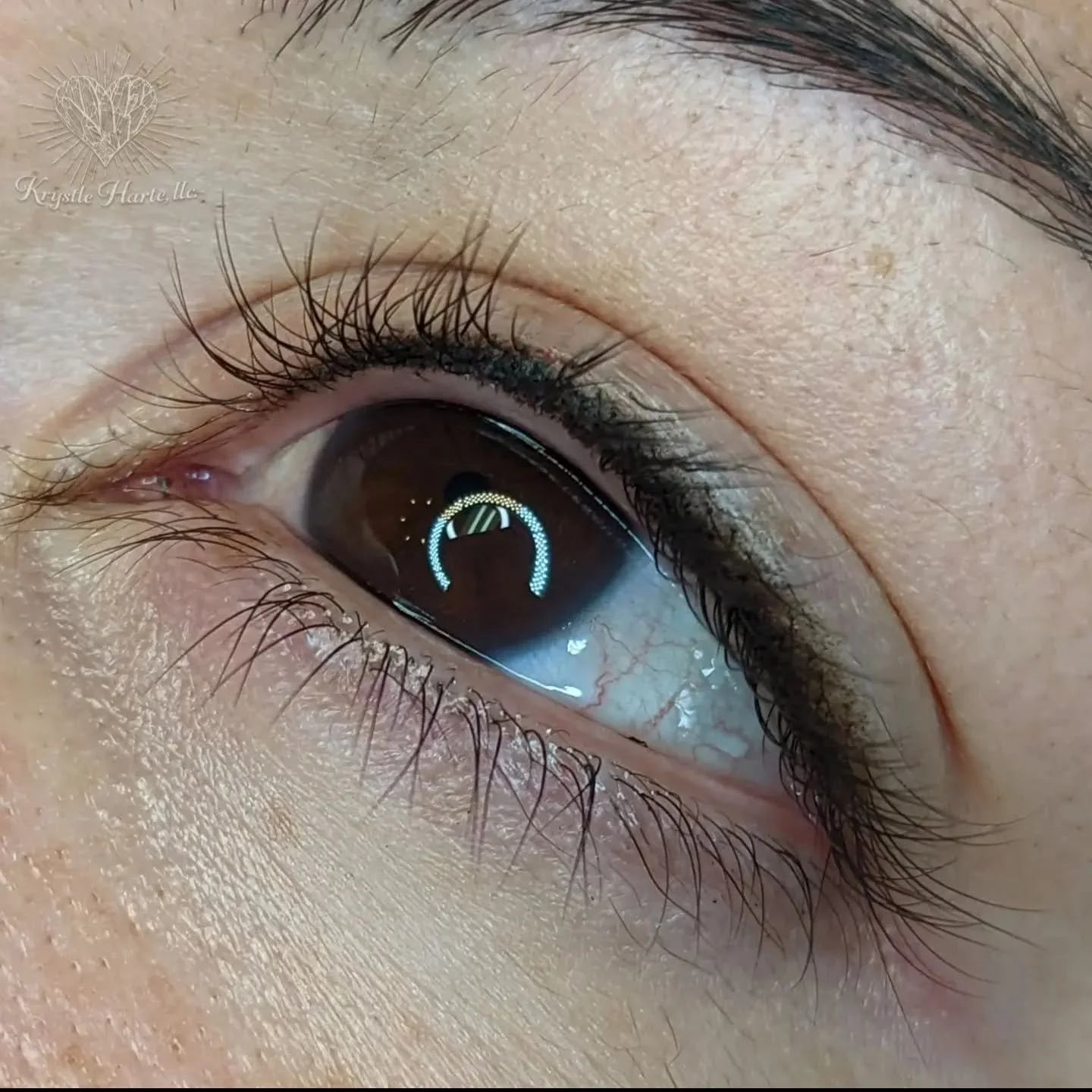 Eyelash enhancement poppin'🔥

Contact me if you have any questions or want to make your appointment today ❤️💕 #krystlehartellc #browjourney #browsonfleek #permanentmakeuptech #cosmetictattooing #permanentmakeup #pm #pmu #makeup #brow #brows #Perman