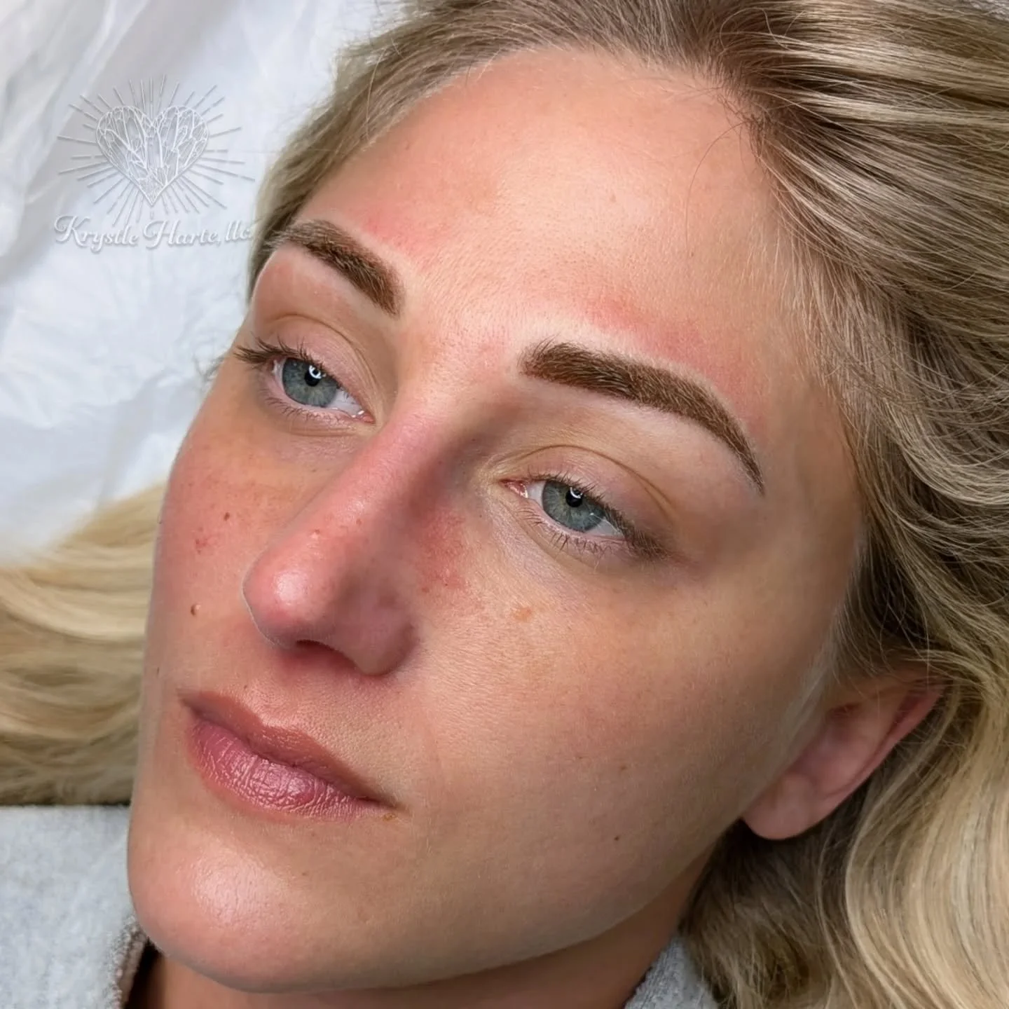 Pretty soft powder brows ✨

#powderbrows #eyebrowgoals #EyebrowTattoo #brows #Krystlehartellc