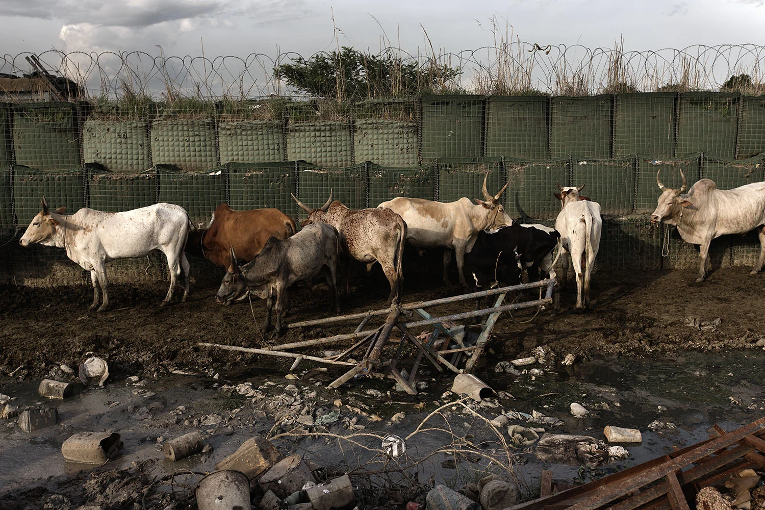 Conflict and humanitarian crisis in South Sudan