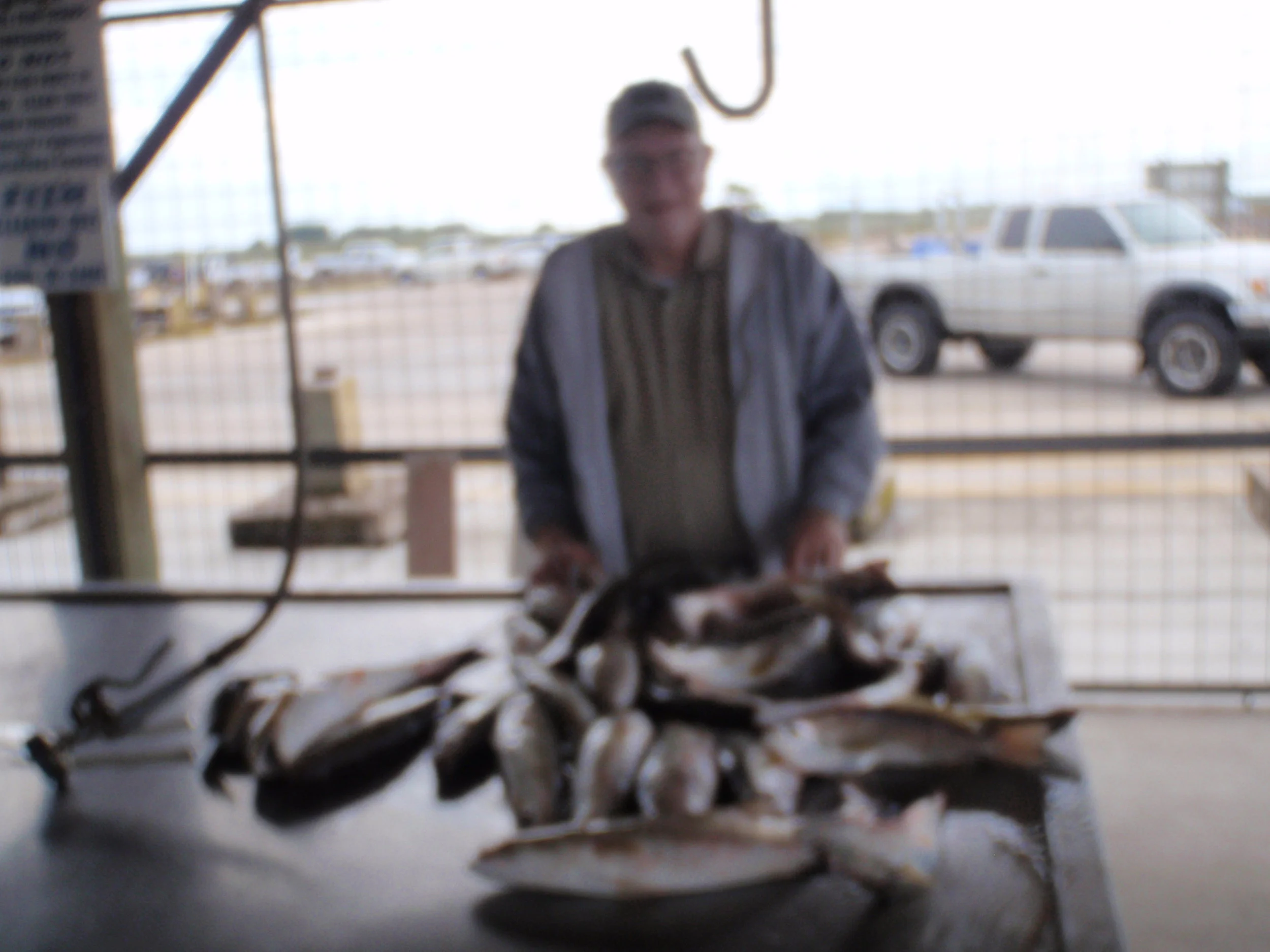 Fishing Report 11/6/2016