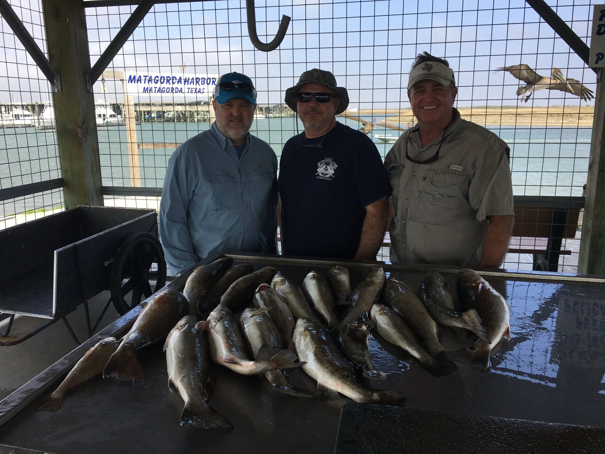 Fishing Report 2/11/2017