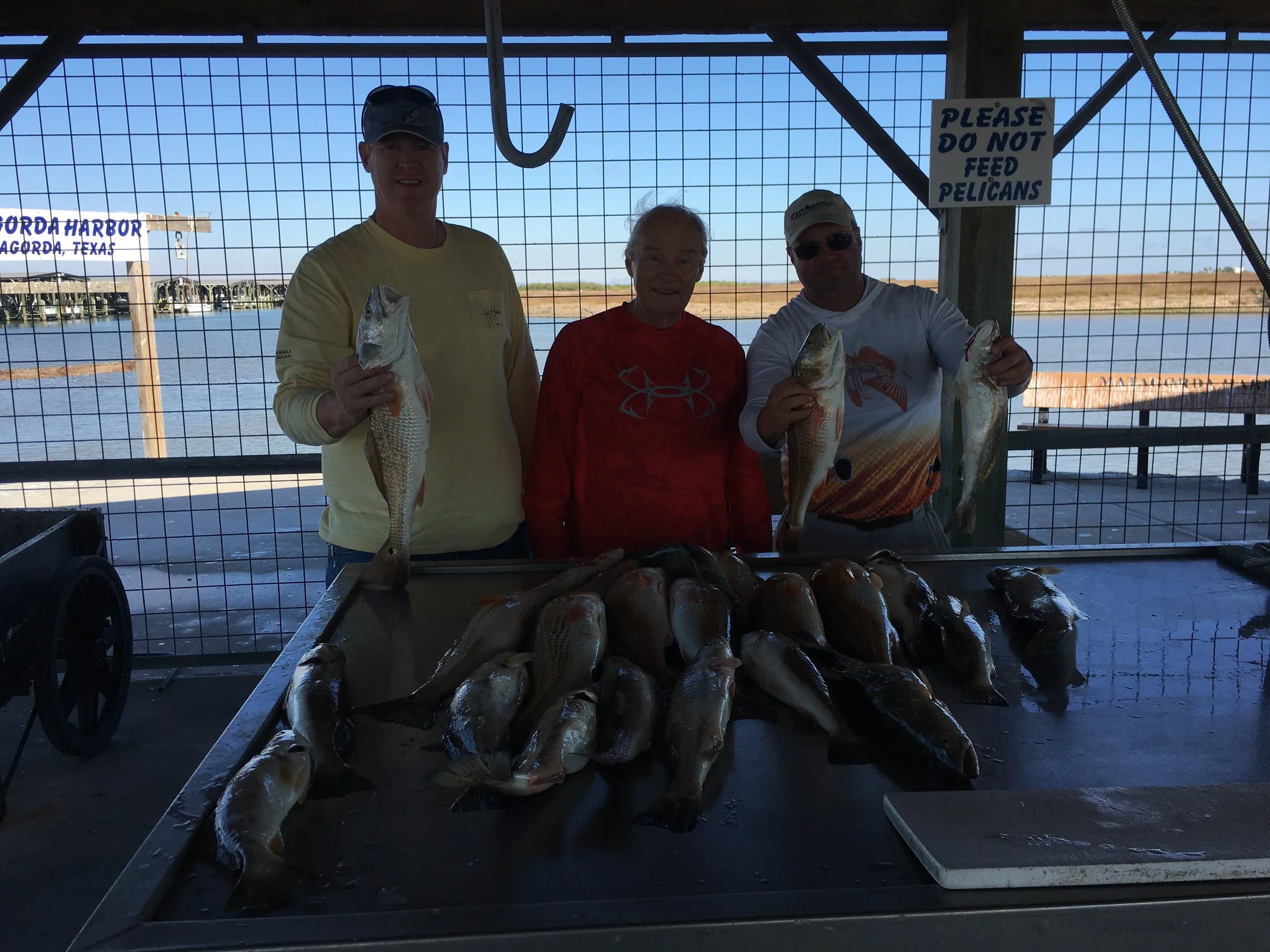 Fishing Report 11/29/2017