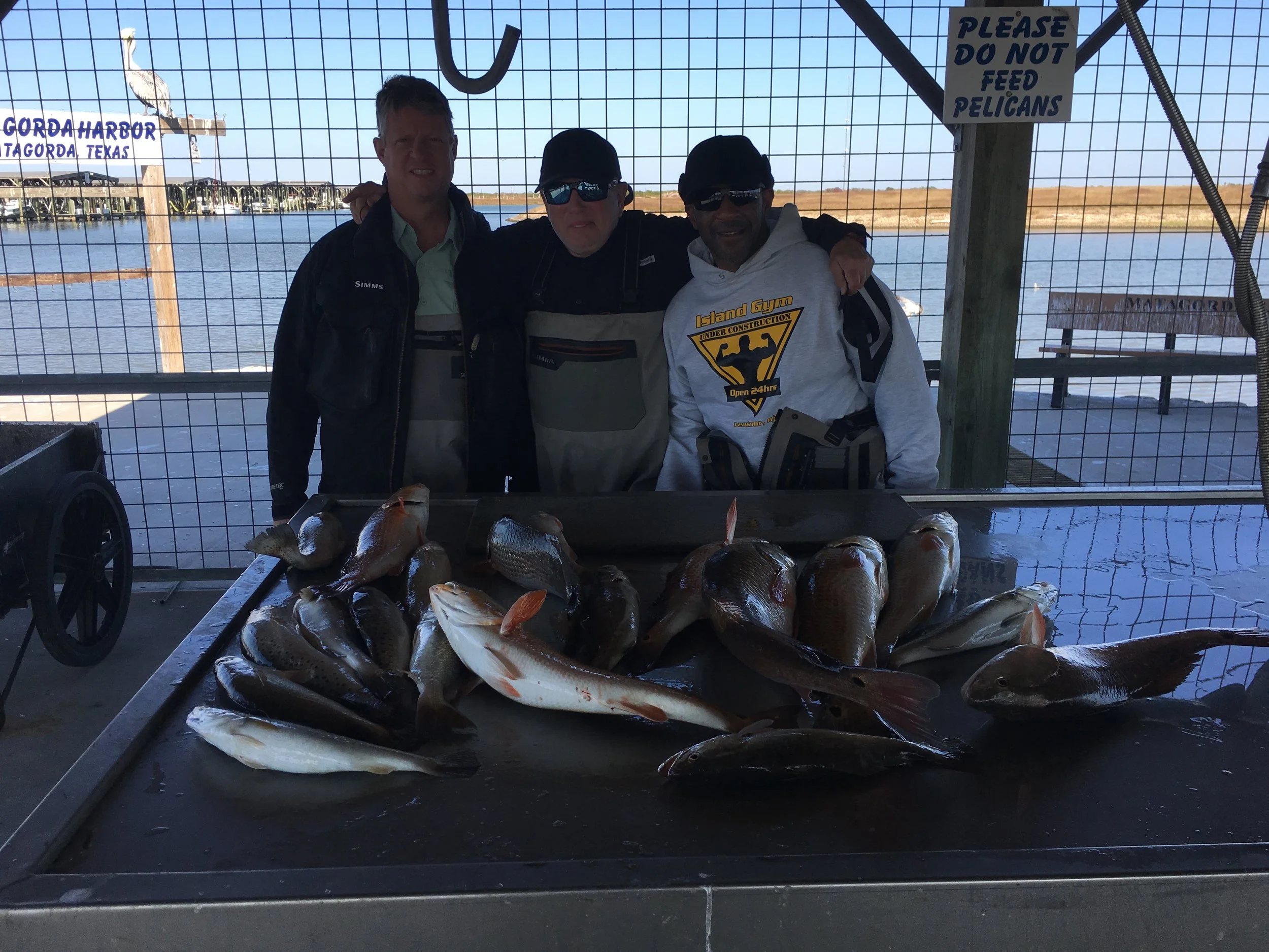 Fishing Report 11/30/2017