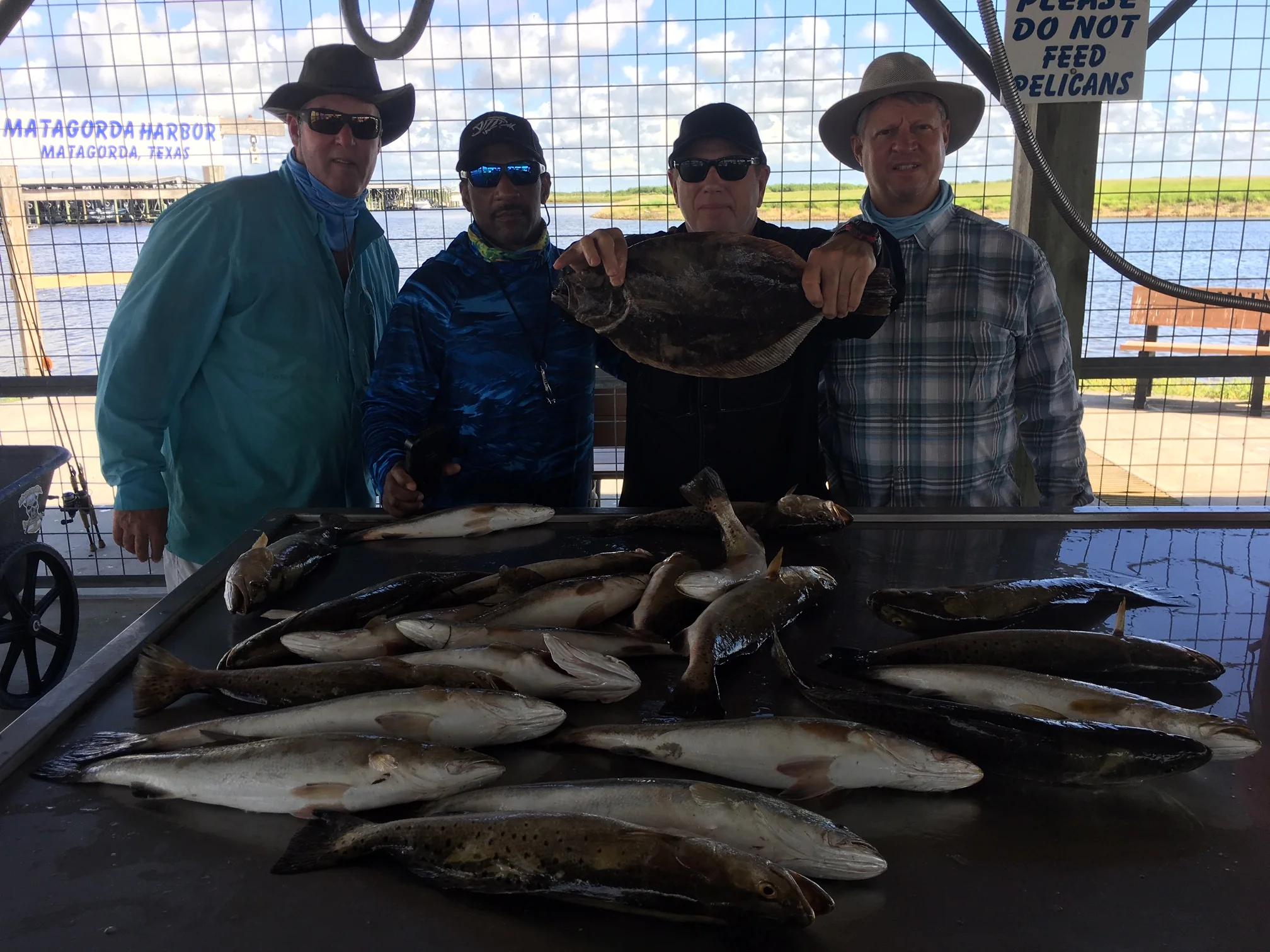 Fishing Report 10/4/2018