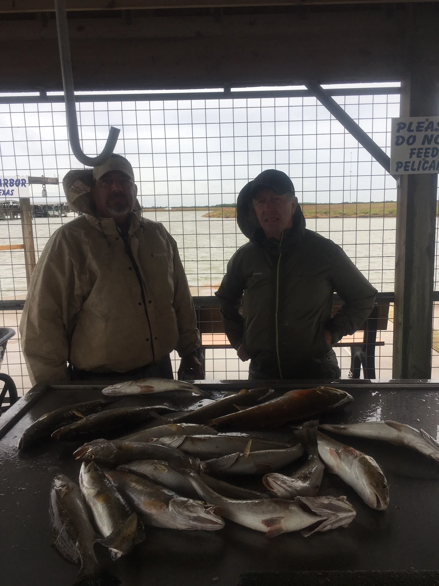 Fishing Report 10/23/2018